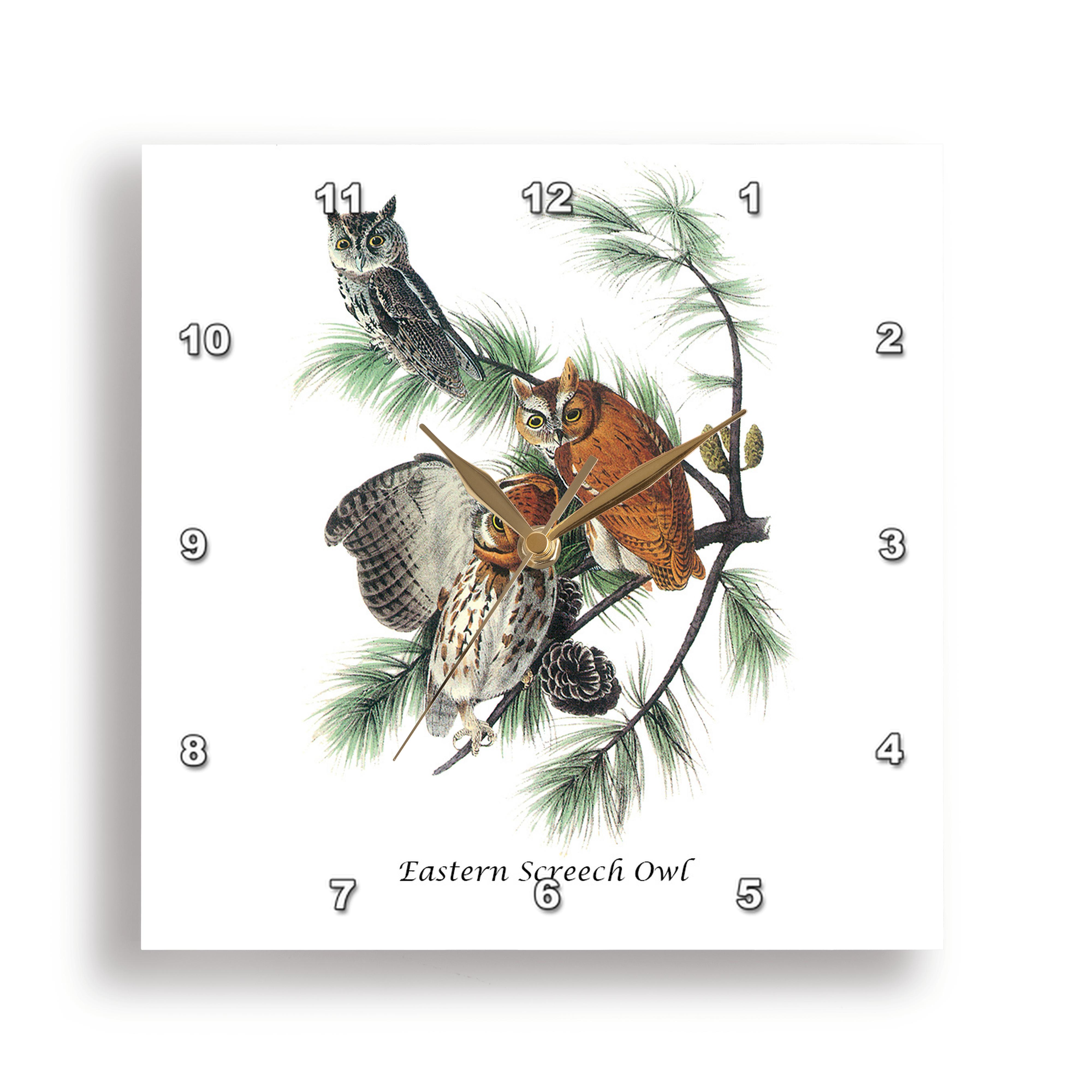 3dRose, Eastern Screech Owl by John James Audubon, Wall Clock - Picture 15 of 28