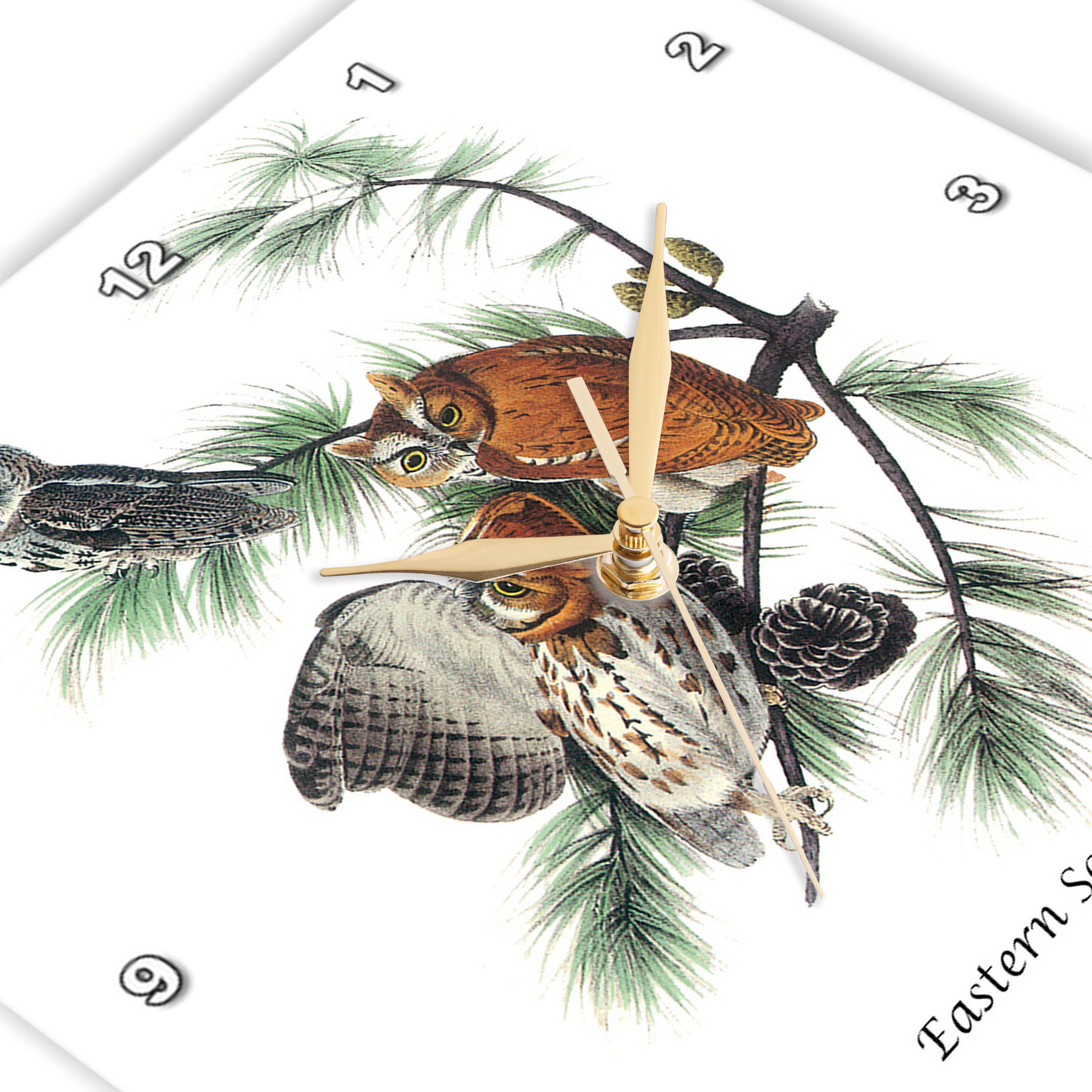 3dRose, Eastern Screech Owl by John James Audubon, Wall Clock - Picture 10 of 28