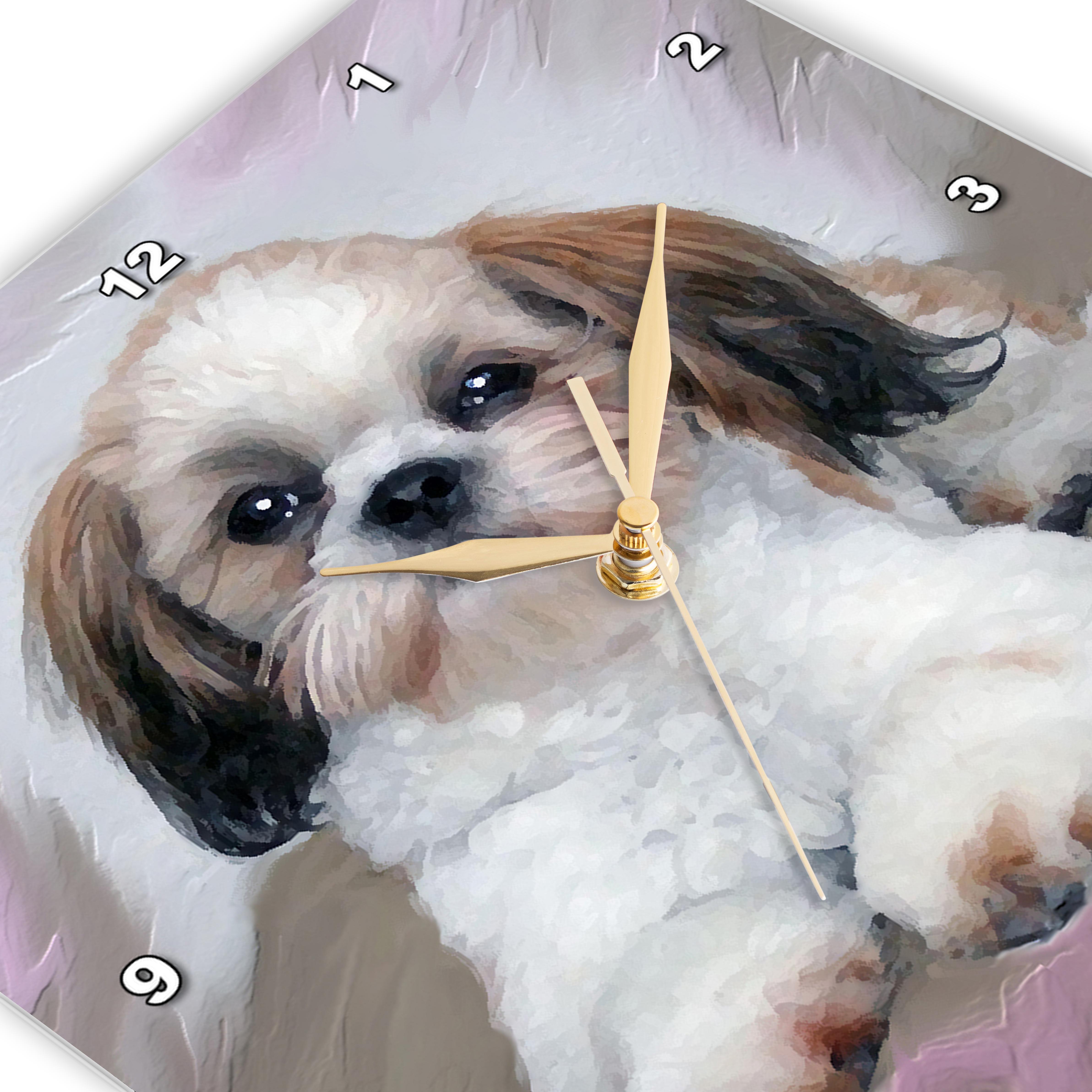 3dRose, Shih Tzu puppy, Wall Clock