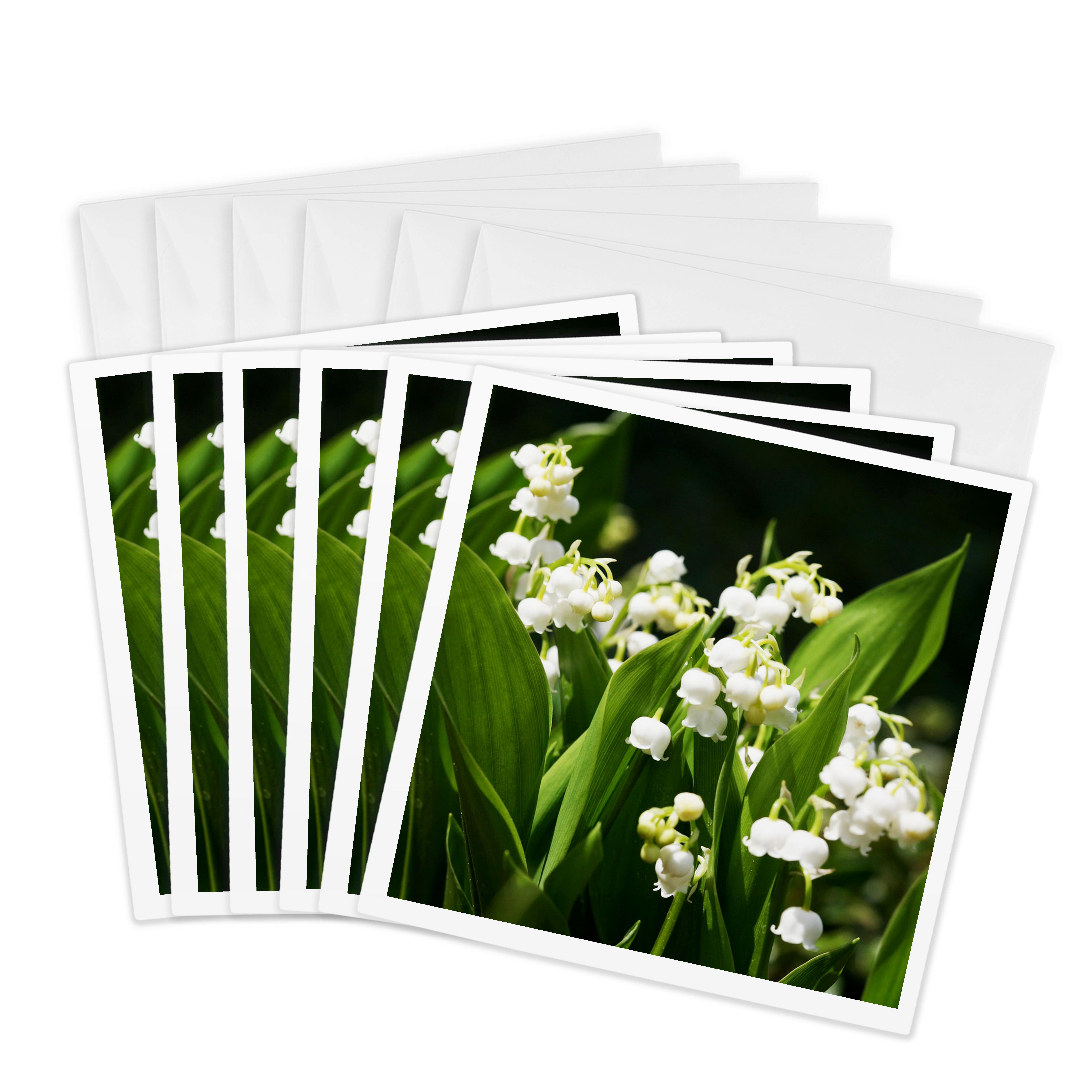 3dRose, Lily of the valley. White. Spring flowers, Greeting Card