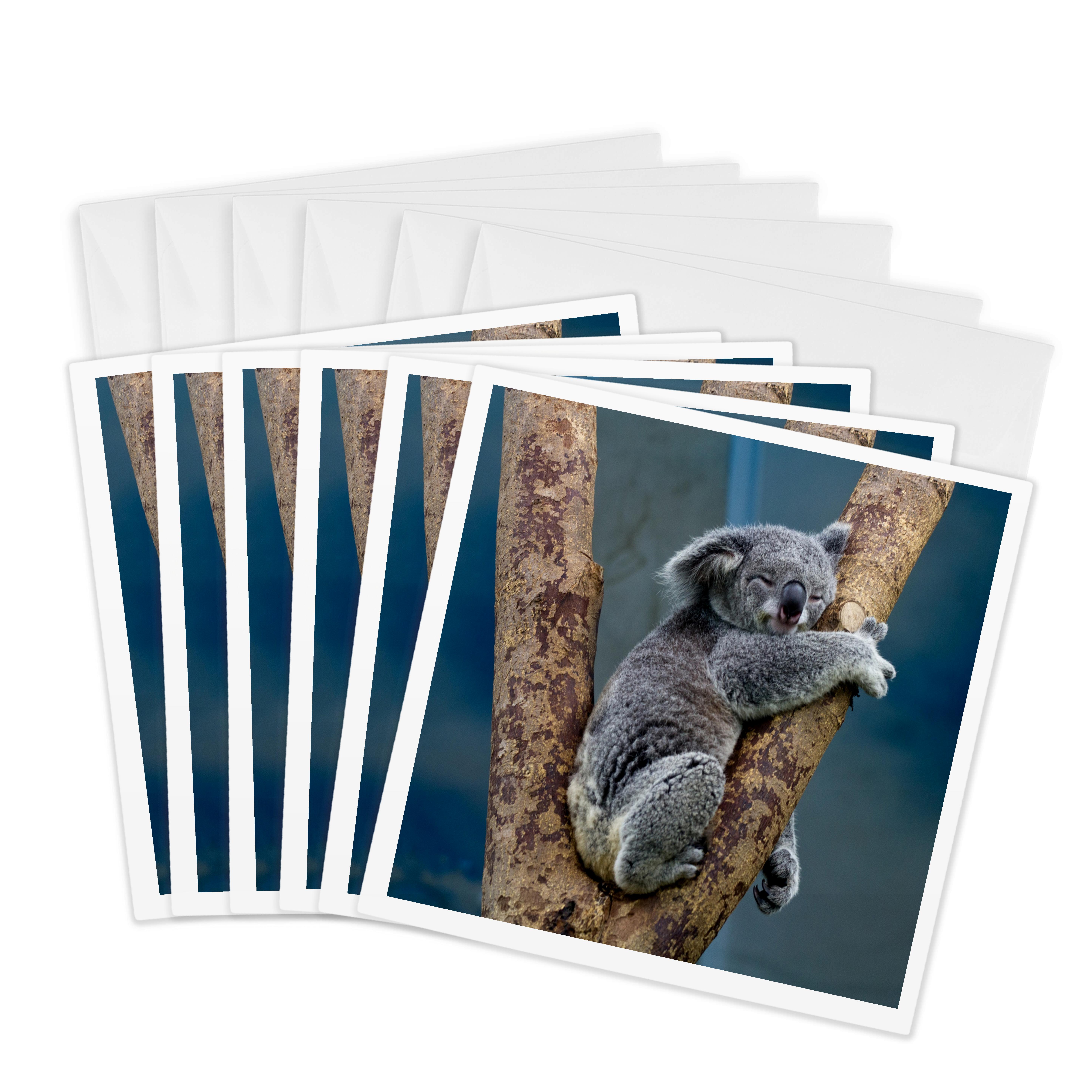 3dRose, Australia Koala Bear , Greeting Card