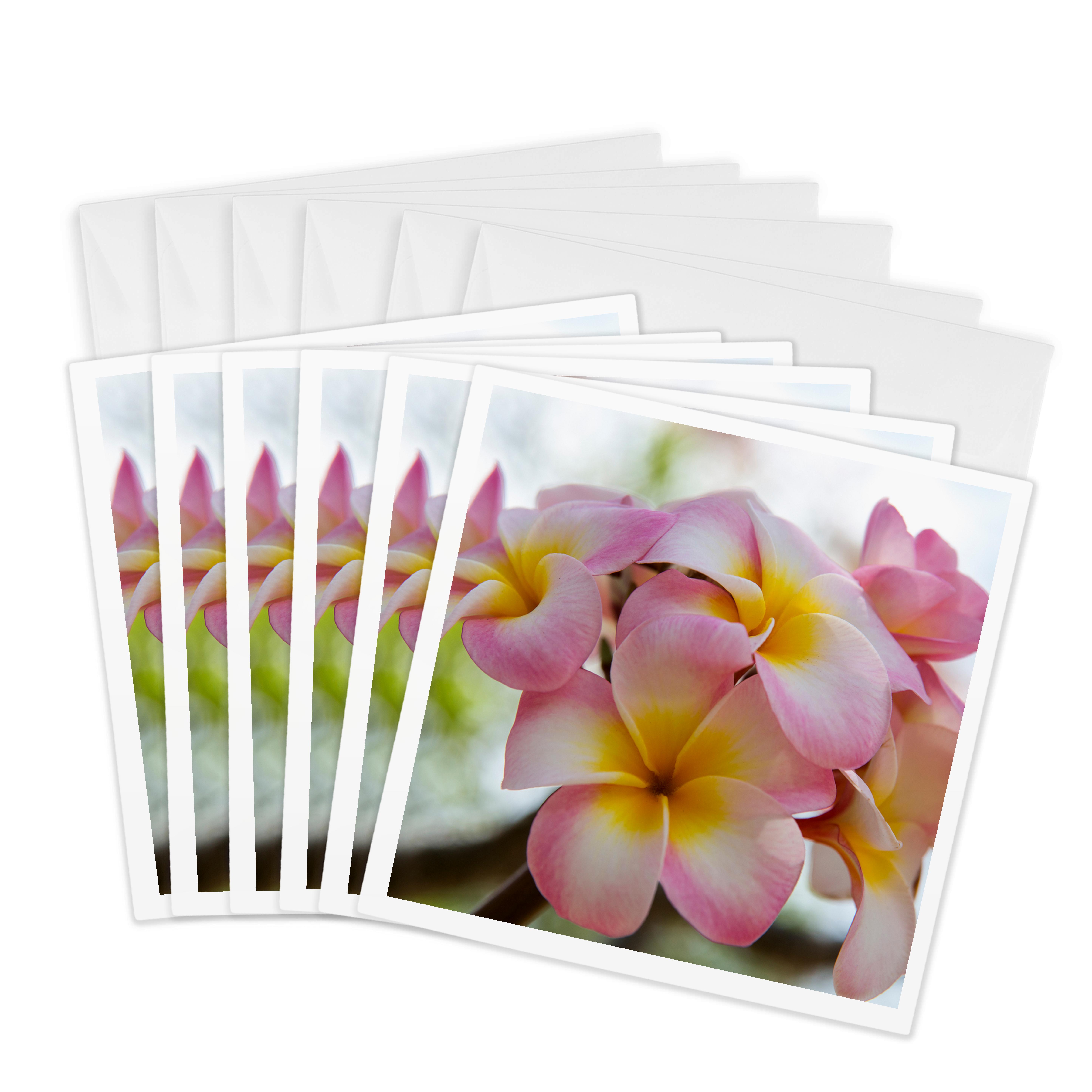3dRose, USA, Hawaii, Oahu, Plumeria flower in a garden., Greeting Card