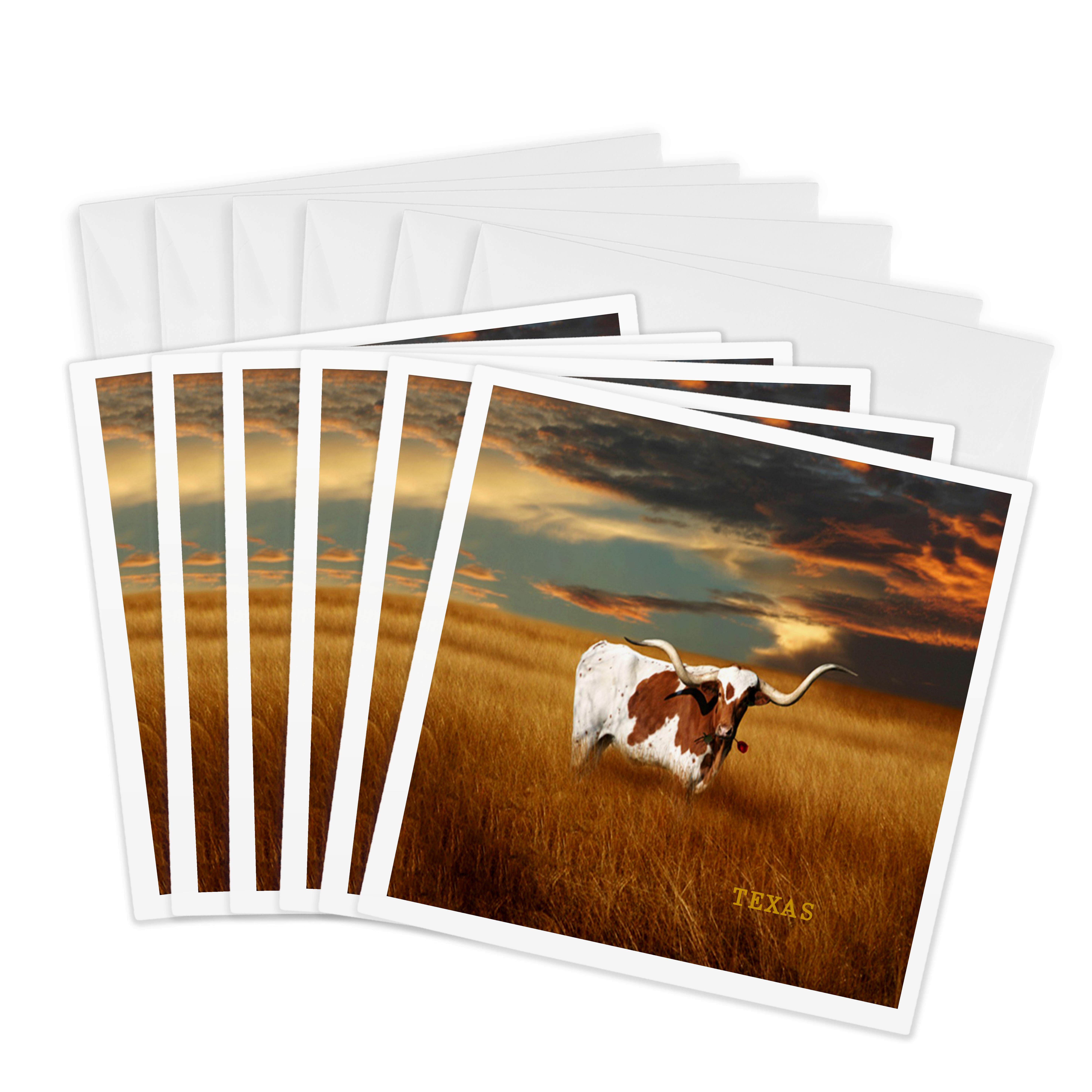 3dRose, A Texas Longhorn, Greeting Card - Imagen 7 de 26