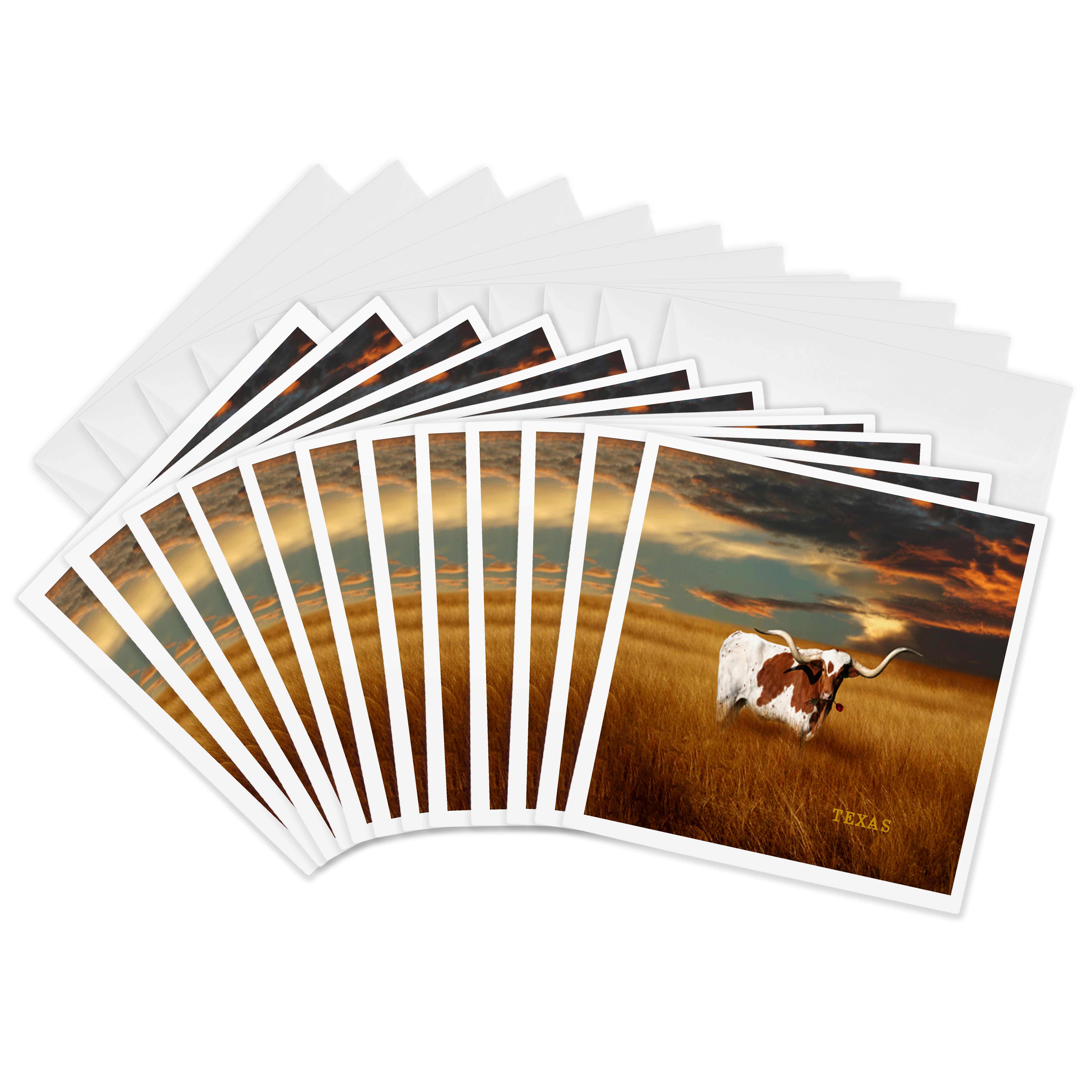 3dRose, A Texas Longhorn, Greeting Card - Imagen 14 de 26