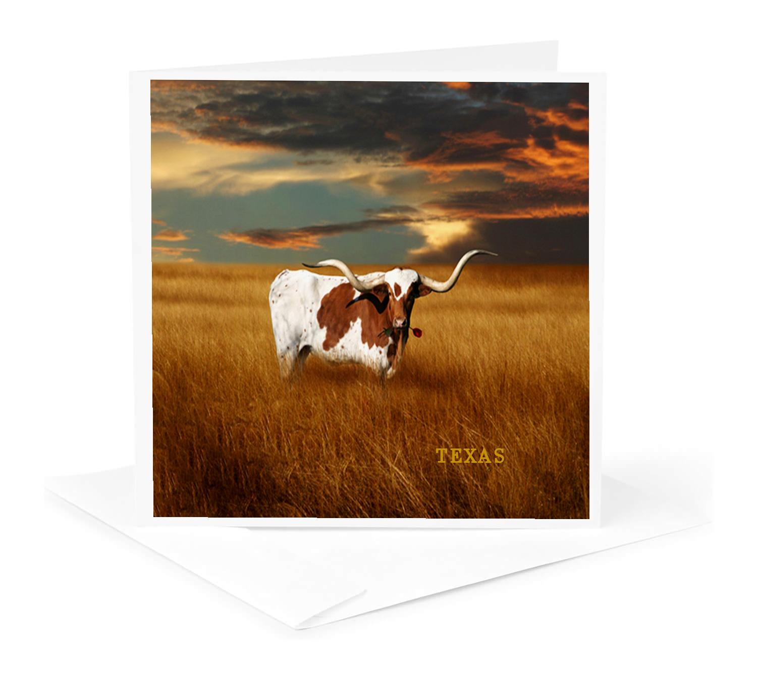 3dRose, A Texas Longhorn, Greeting Card - Imagen 11 de 26