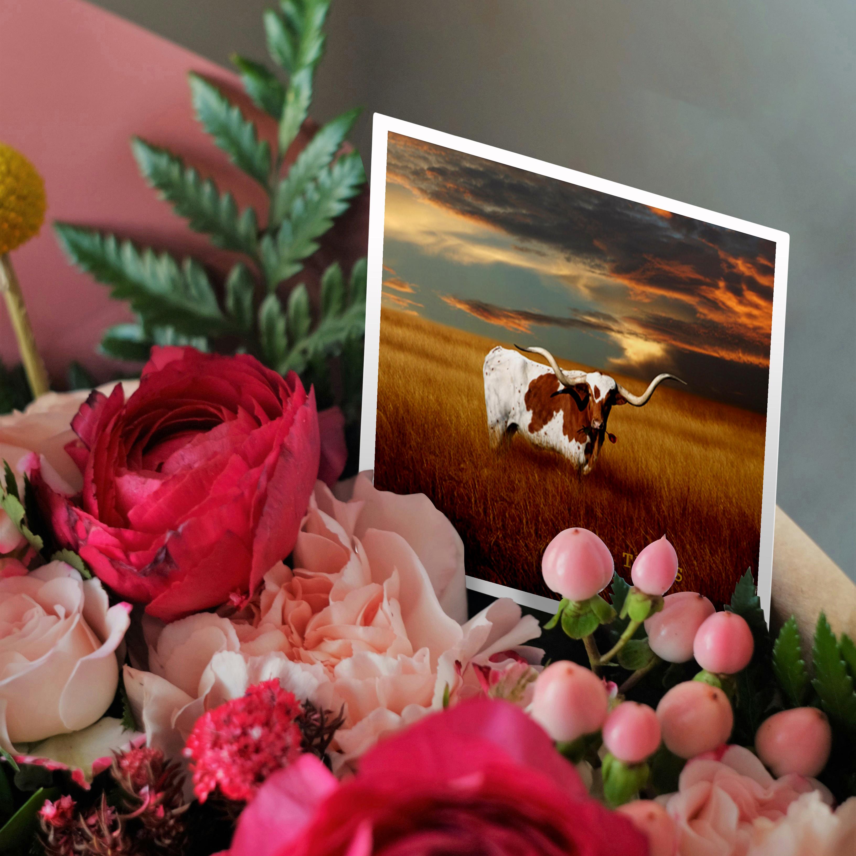 3dRose, A Texas Longhorn, Greeting Card - Imagen 9 de 26