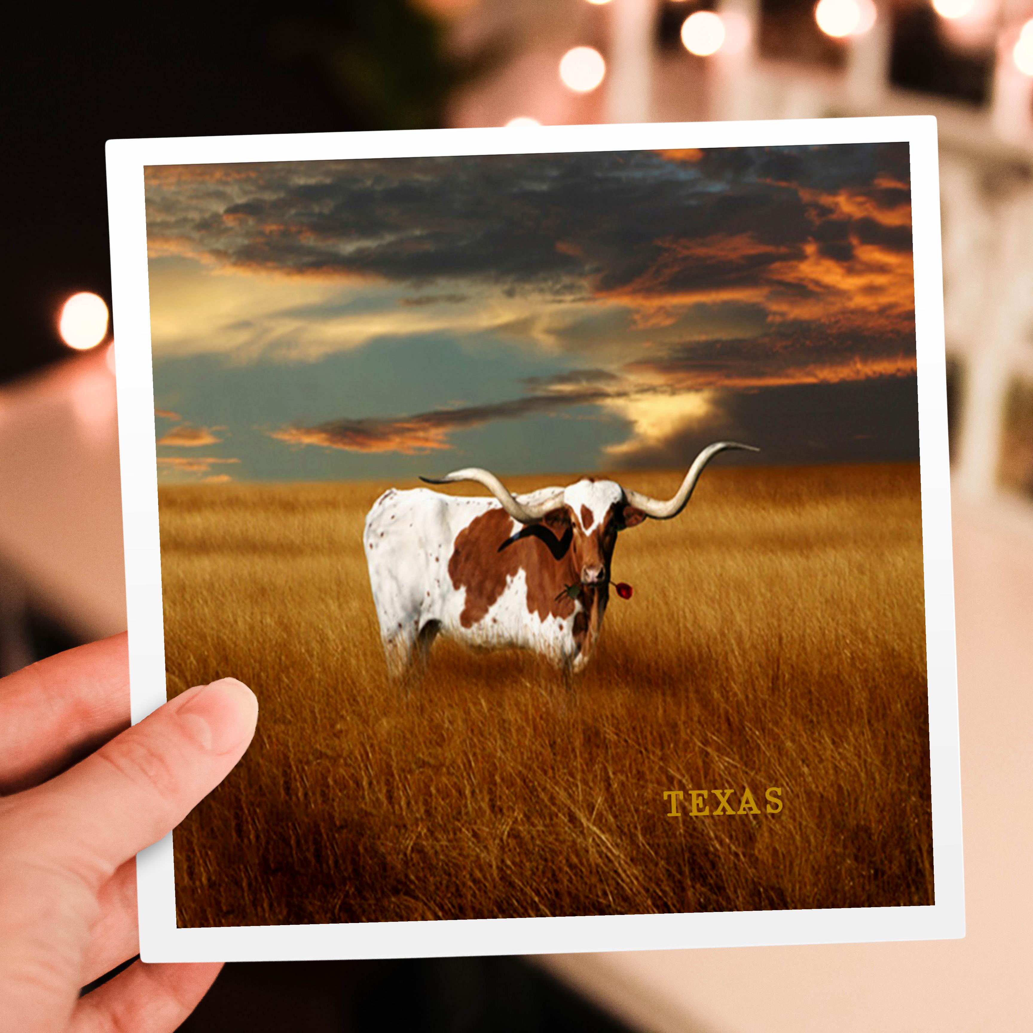 3dRose, A Texas Longhorn, Greeting Card - Imagen 13 de 26