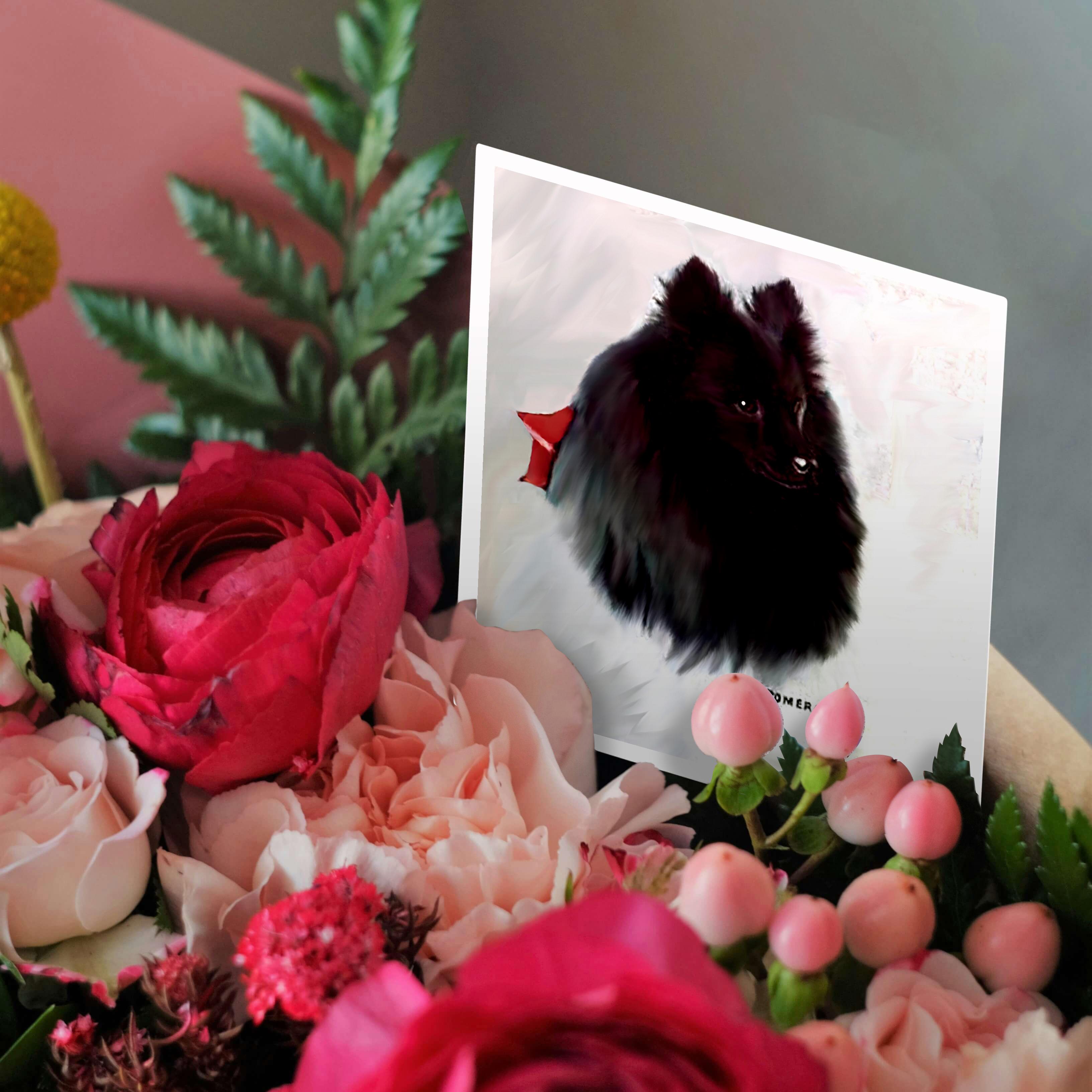 3dRose, Black Pomeranian, Greeting Card - Foto 9 di 26