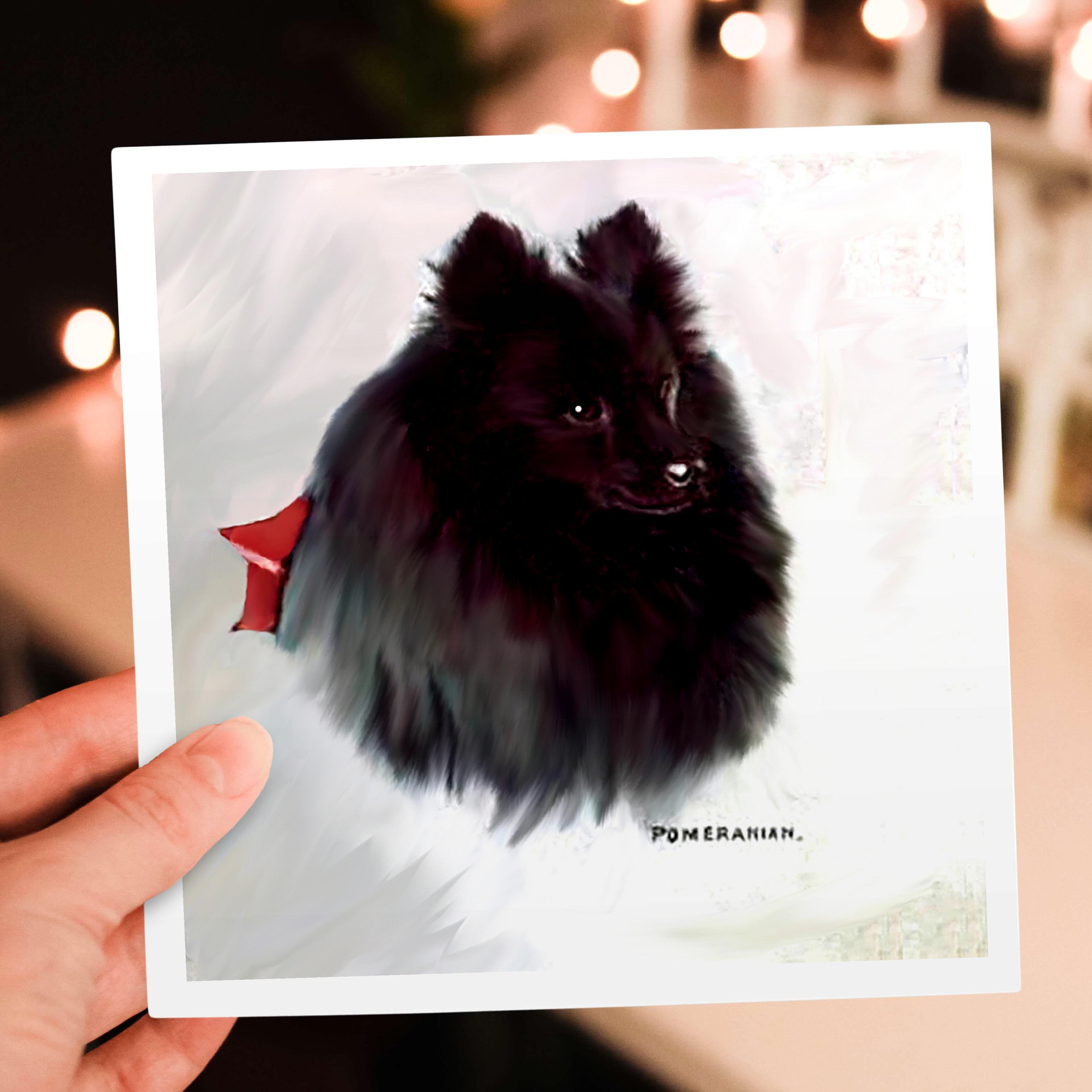 3dRose, Black Pomeranian, Greeting Card - Foto 13 di 26