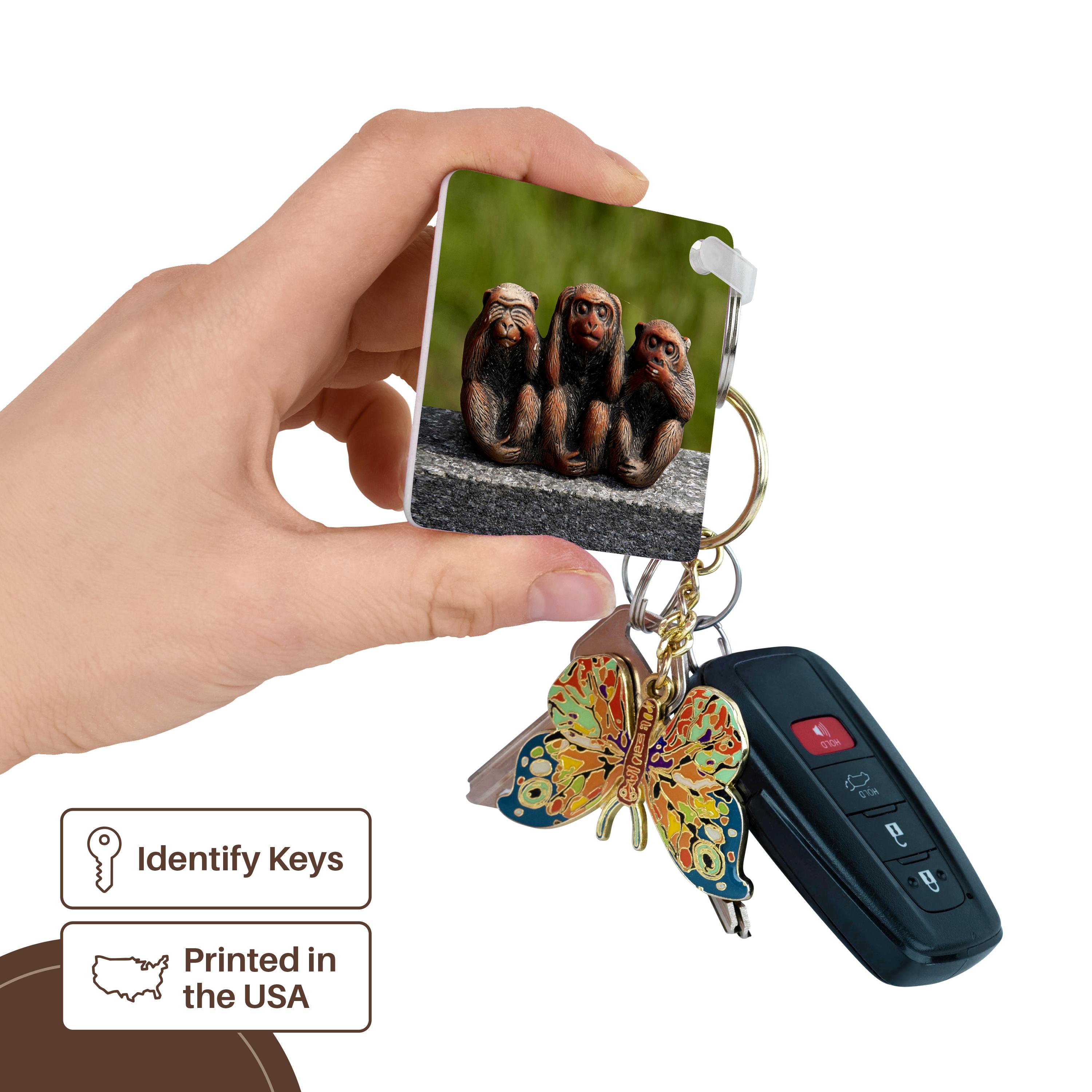 3dRose, 3 Monkeys, hear, see, speak no evil, Key Chain - Picture 10 of 28