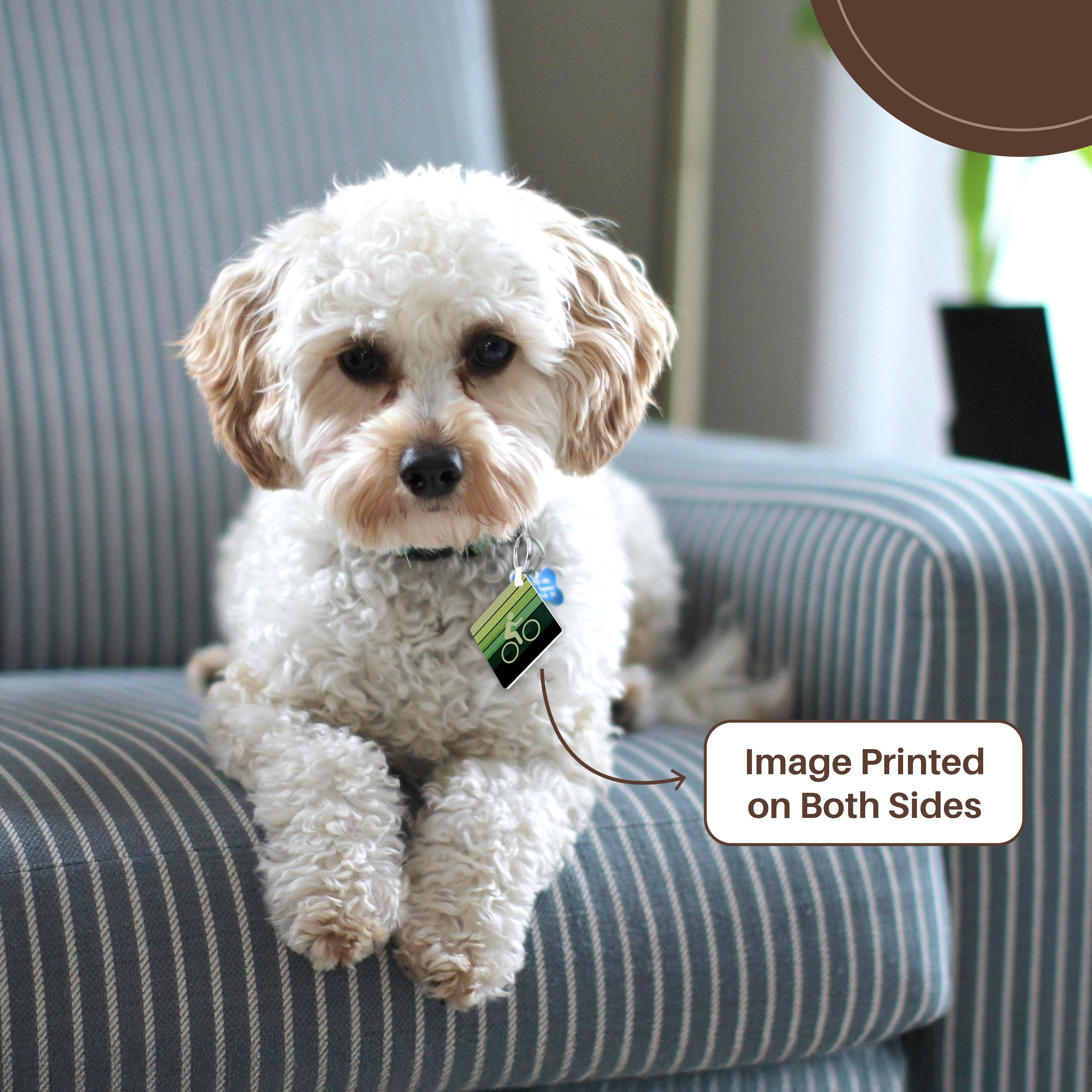 Key Chain - Let It Roll - bicycling icon with grunge texture and colorful green gradient layers Designs Summertime