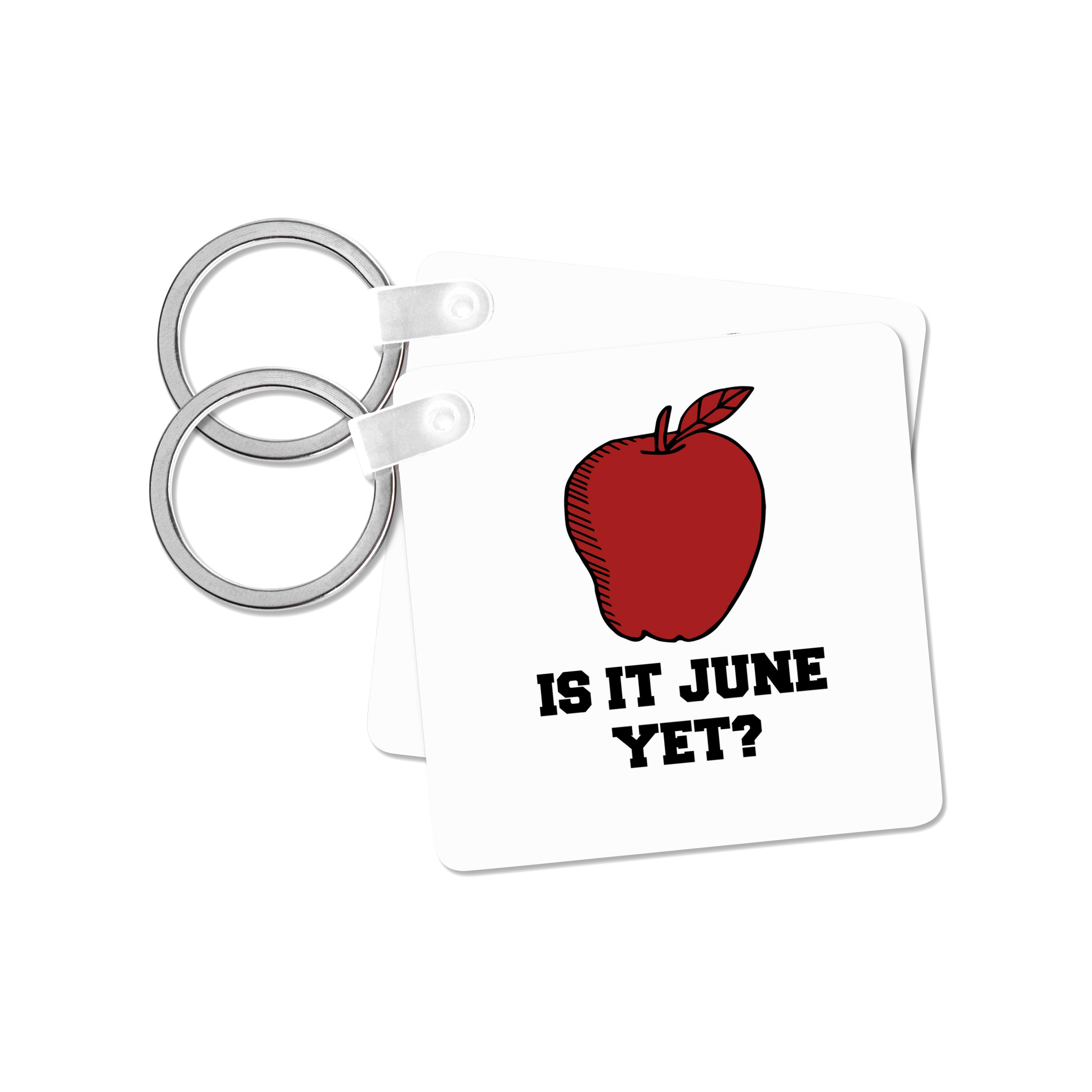 Key Chain - Is it June yet Teacher