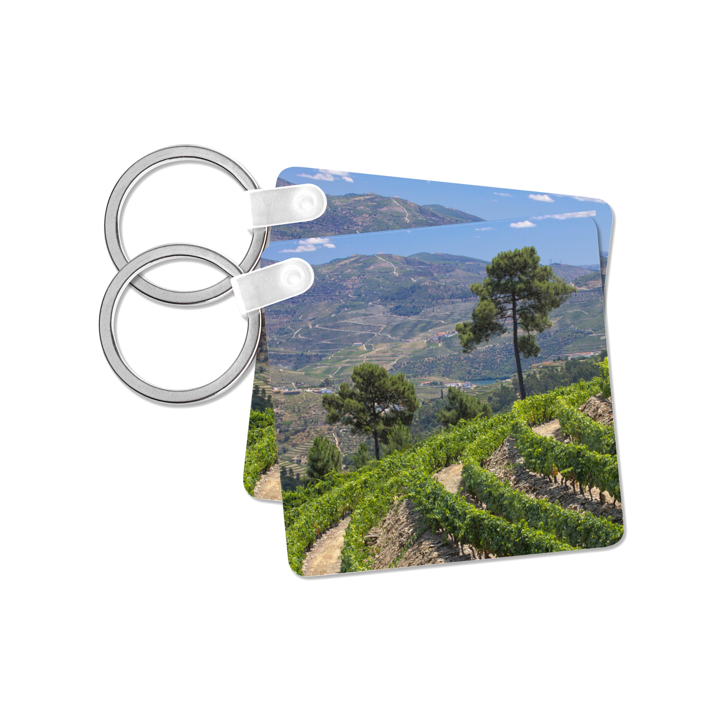 3dRose Key Chains Portugal, Douro Valley, Pinhao. The vineyards of the Douro Valley. (kc-188693-1)