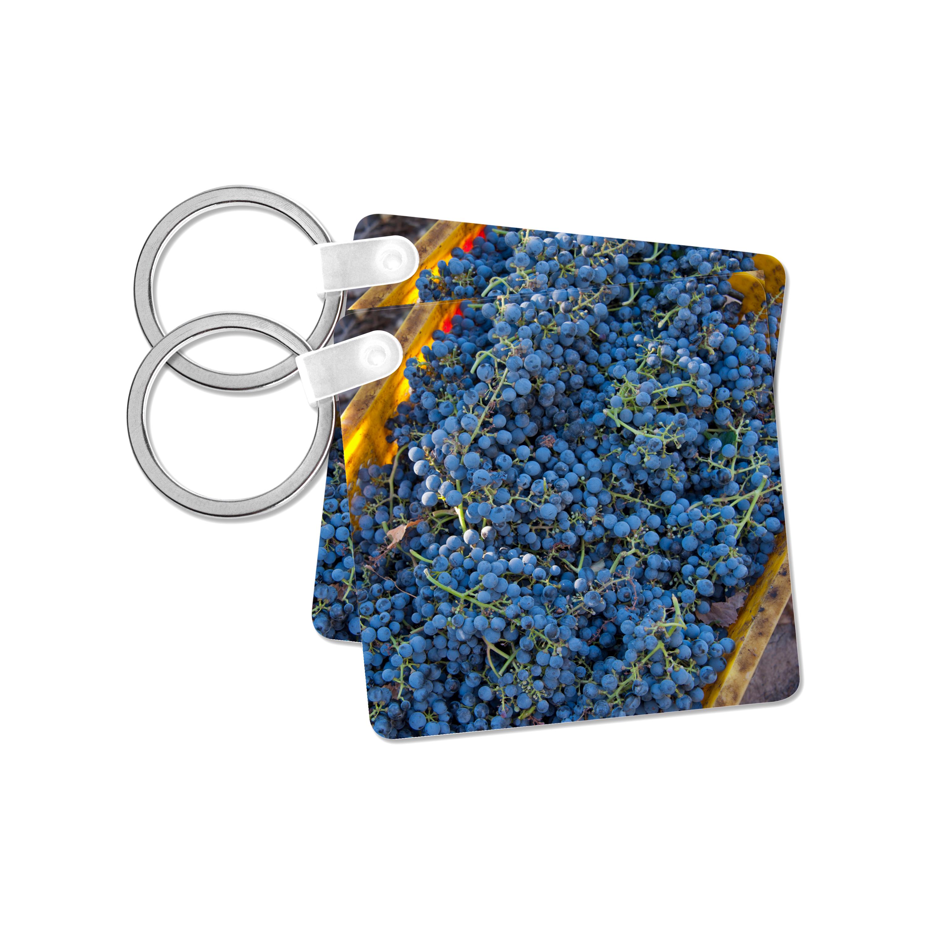 Key Chain - China, Xinjiang, Manas. Cabernet sauvignon grapes from a vineyard. Grapes