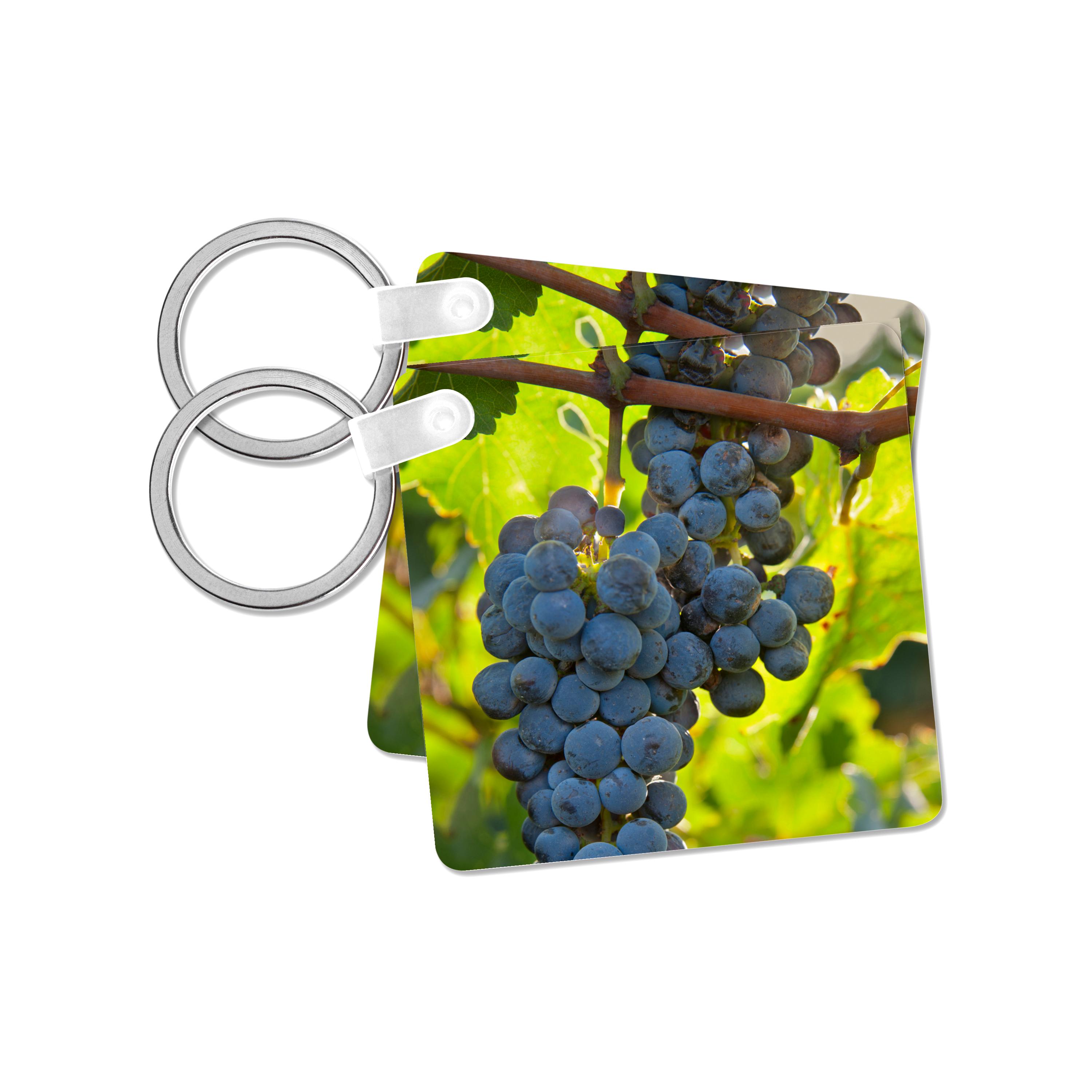 3dRose Key Chains China, Xinjiang, Xinjiang Uyghur, Manas. Cabernet sauvignon grapes. (kc-209346-1)
