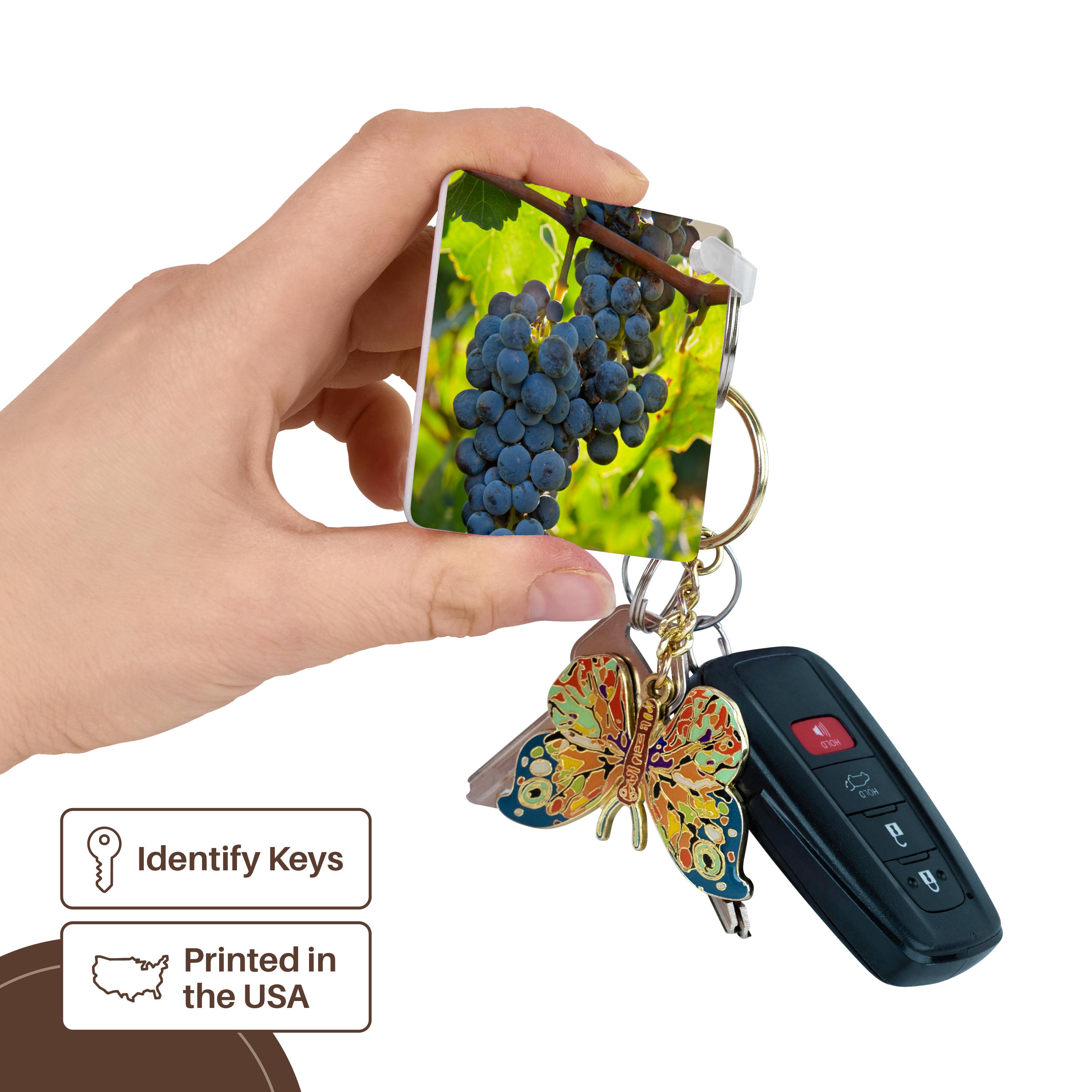 3dRose Key Chains China, Xinjiang, Xinjiang Uyghur, Manas. Cabernet sauvignon grapes. (kc-209346-1)