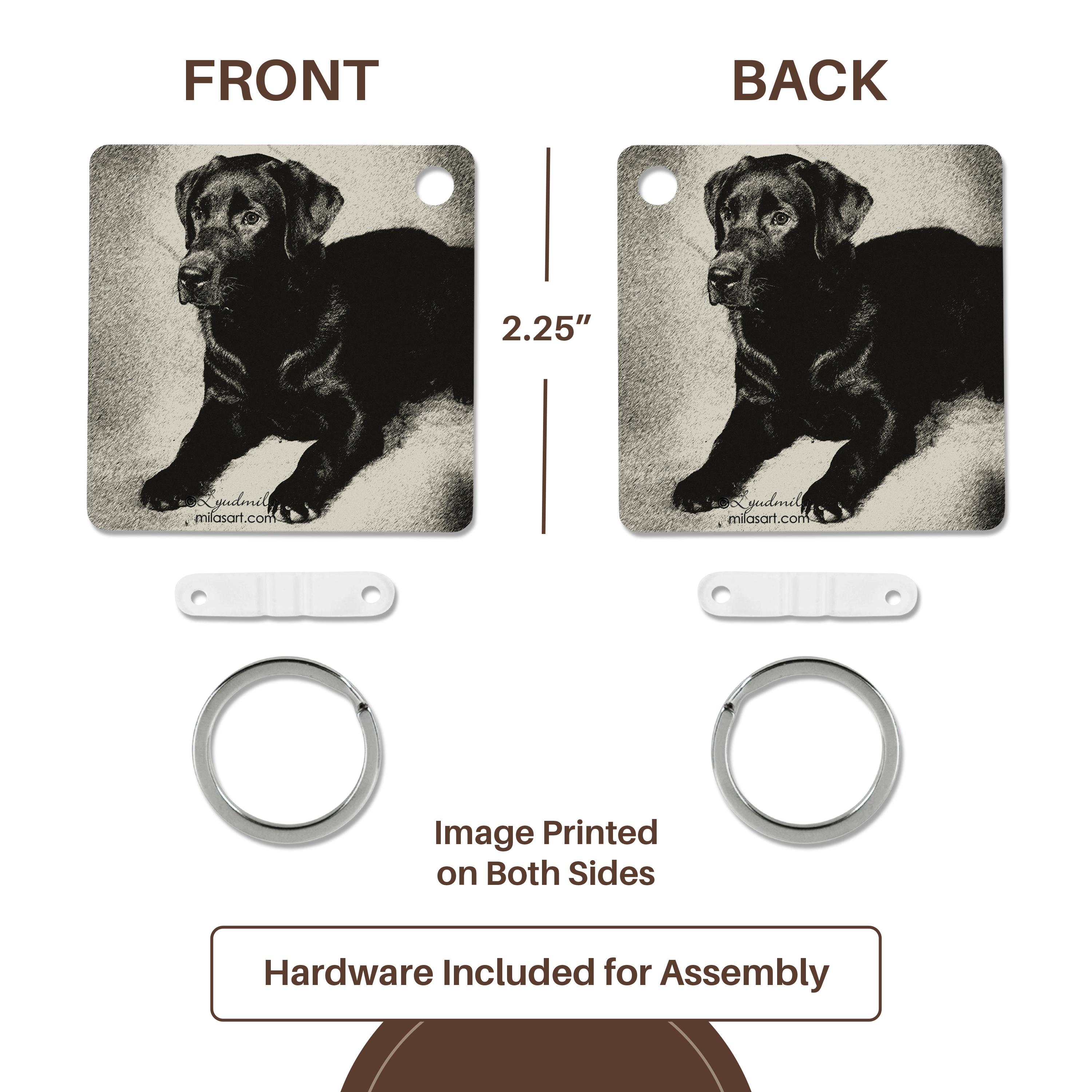 3dRose, Labrador Retriever, Key Chain - Picture 12 of 28