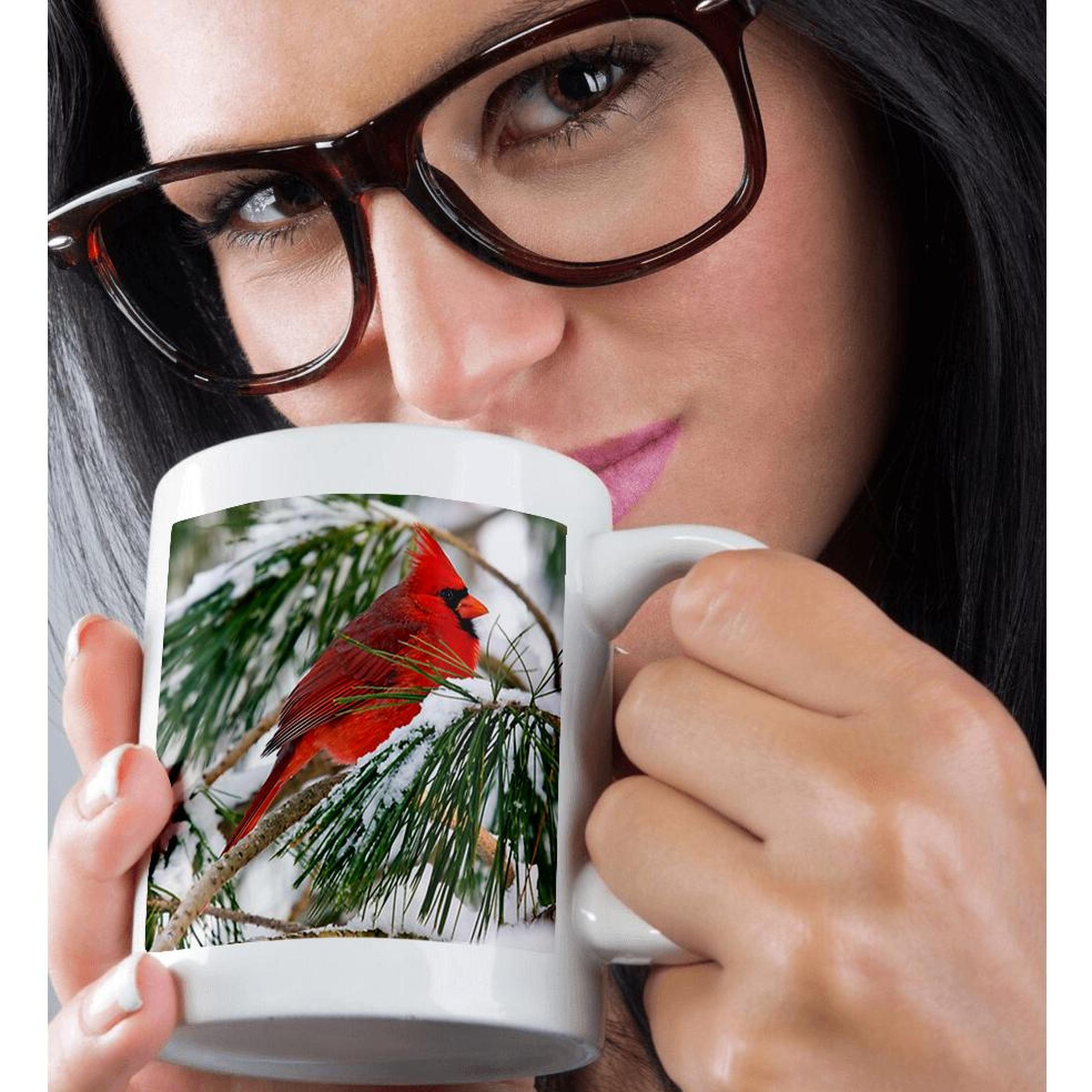 3dRose, Red and black cardinal perched in snowy pine tree, Mug - Bild 30 von 99