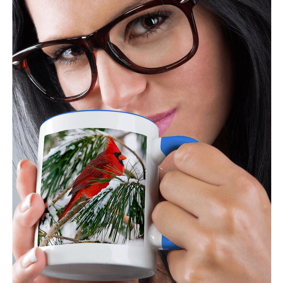 3dRose, Red and black cardinal perched in snowy pine tree, Mug - Bild 51 von 99