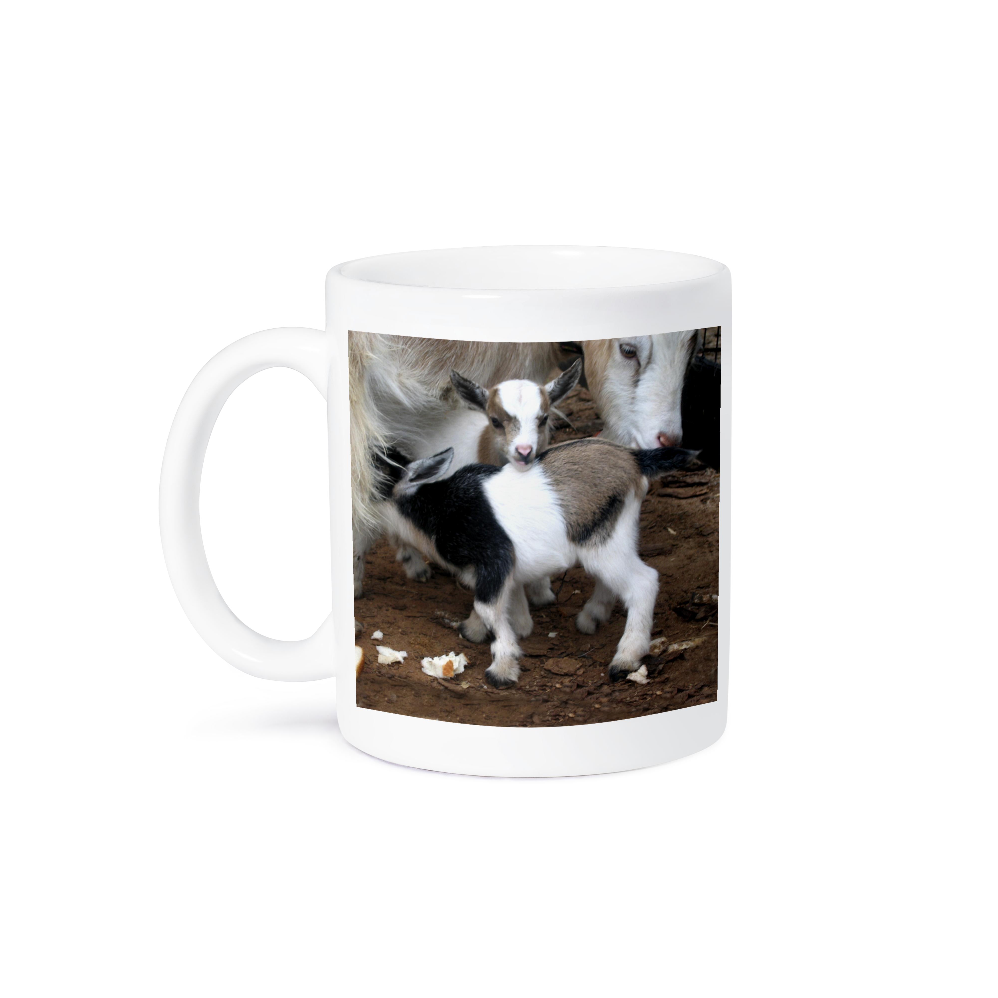 Taza 3dRose, familia de cabras pigmeas, - Imagen 15 de 99