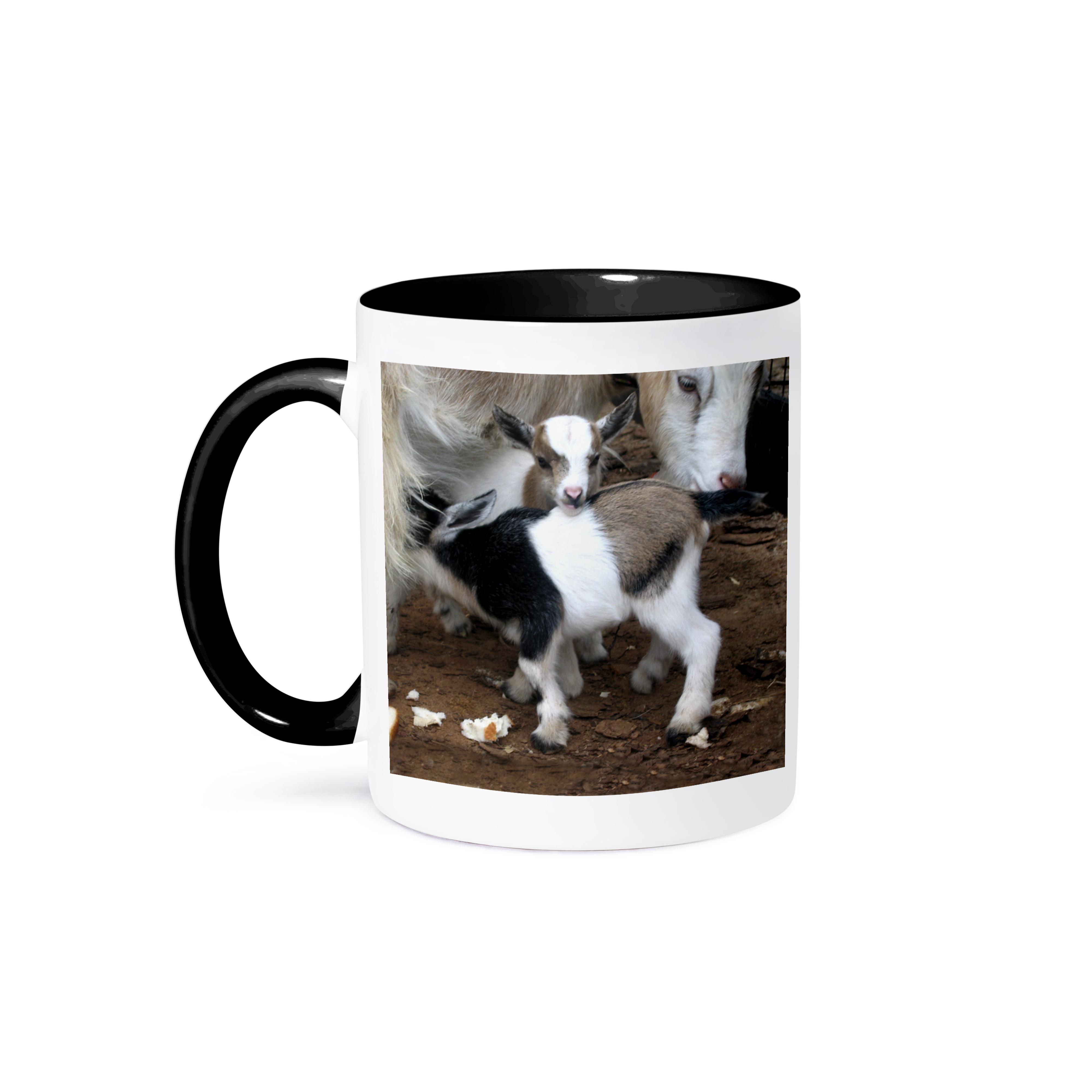 Taza 3dRose, familia de cabras pigmeas, - Imagen 22 de 99