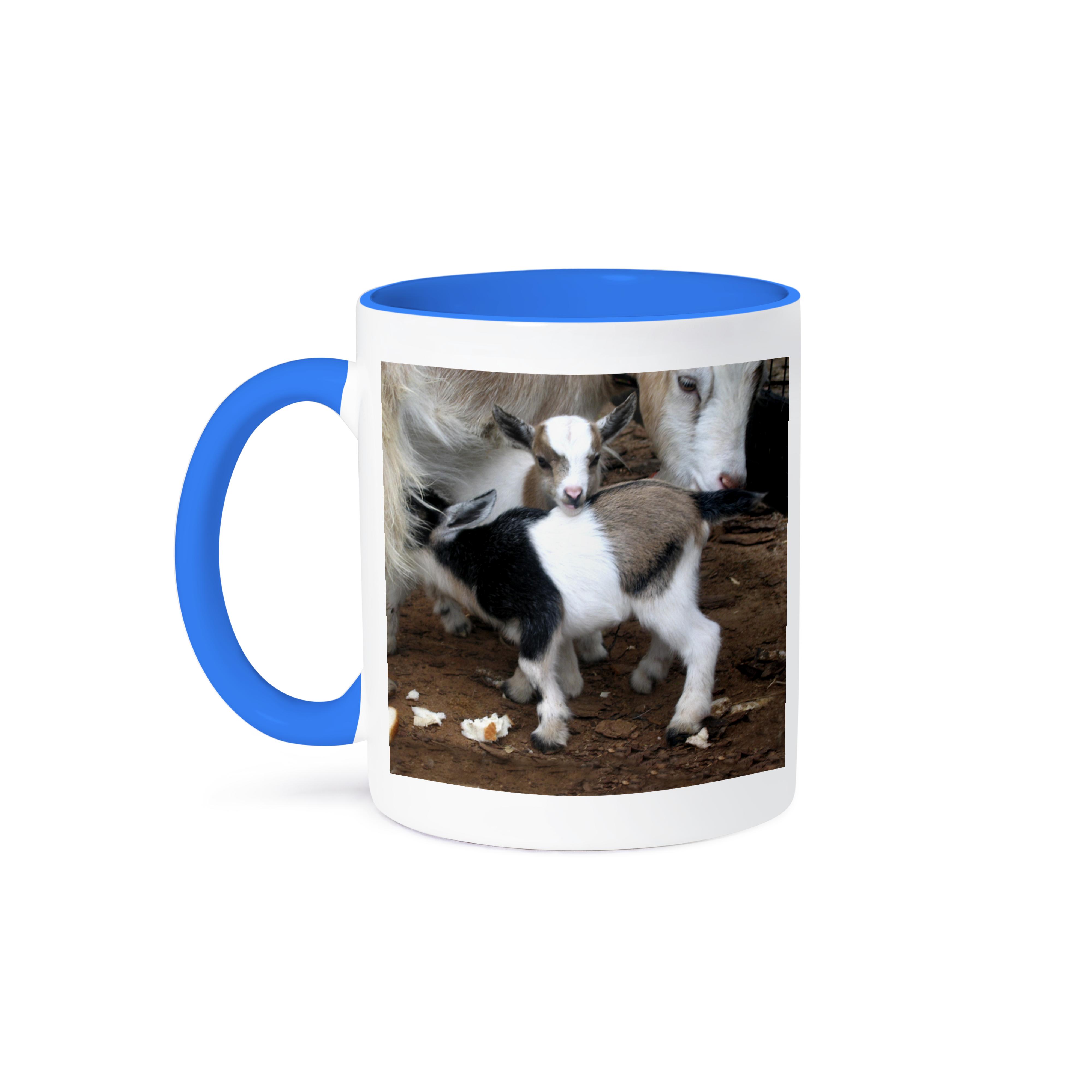 Taza 3dRose, familia de cabras pigmeas, - Imagen 43 de 99