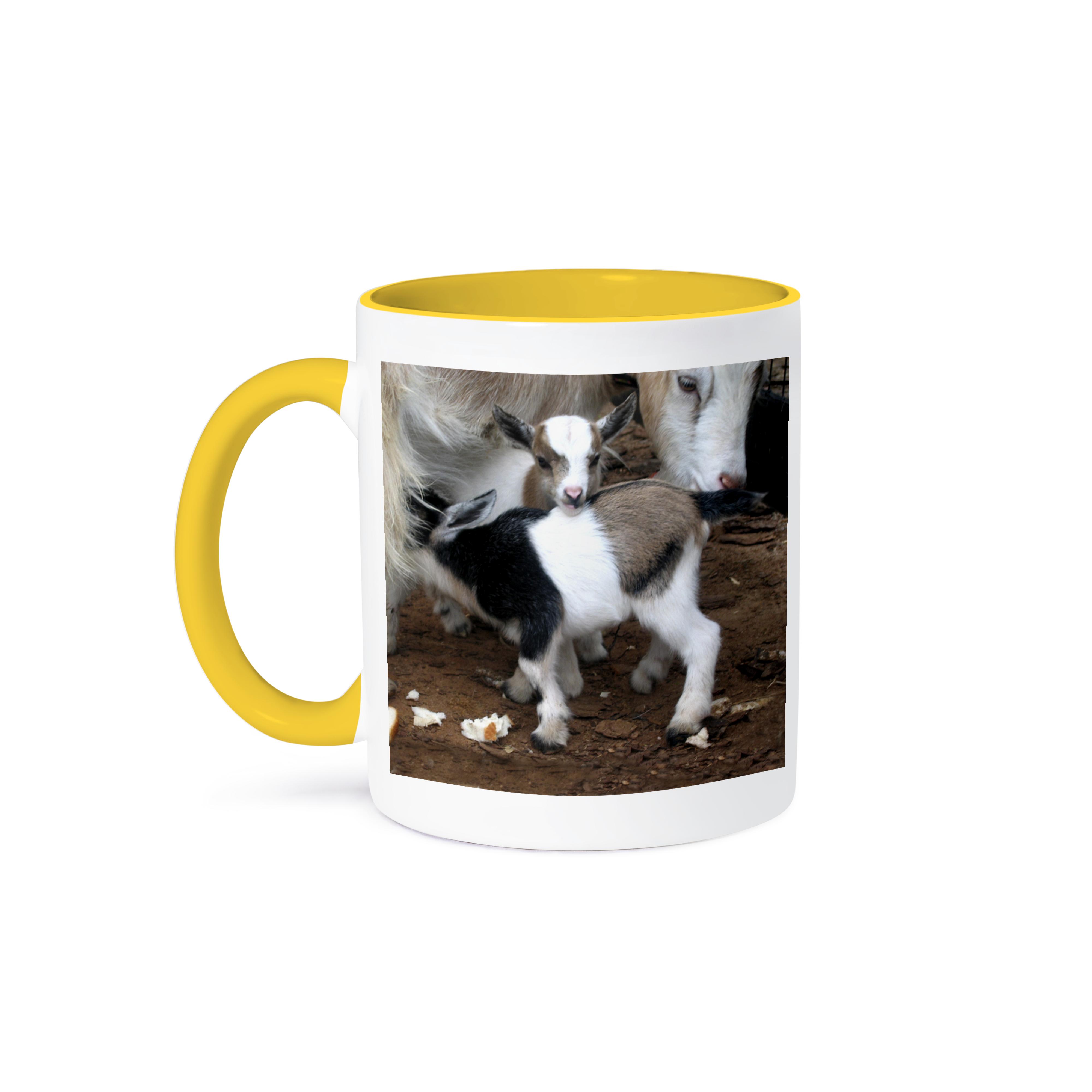 Taza 3dRose, familia de cabras pigmeas, - Imagen 8 de 99