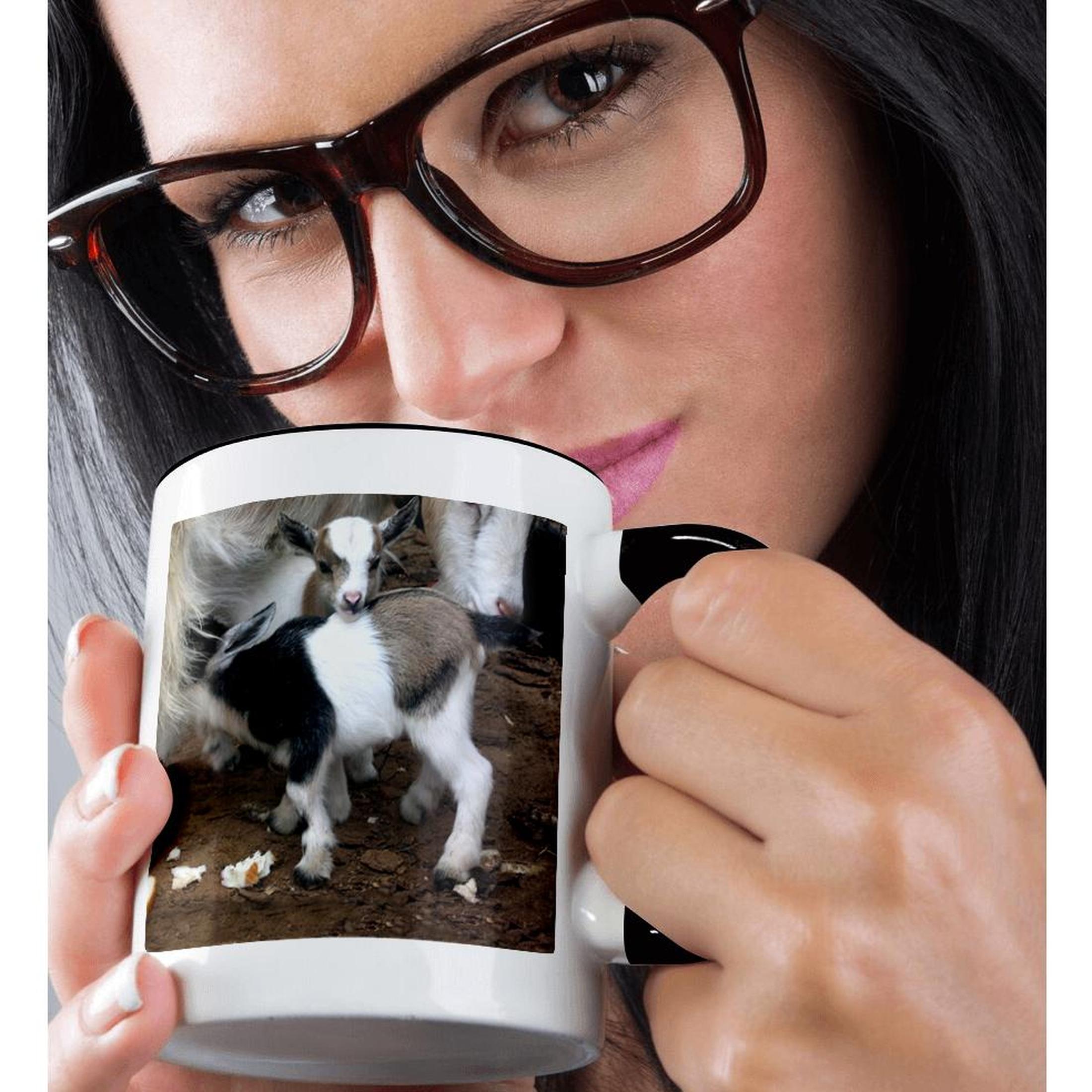 Taza 3dRose, familia de cabras pigmeas, - Imagen 23 de 99