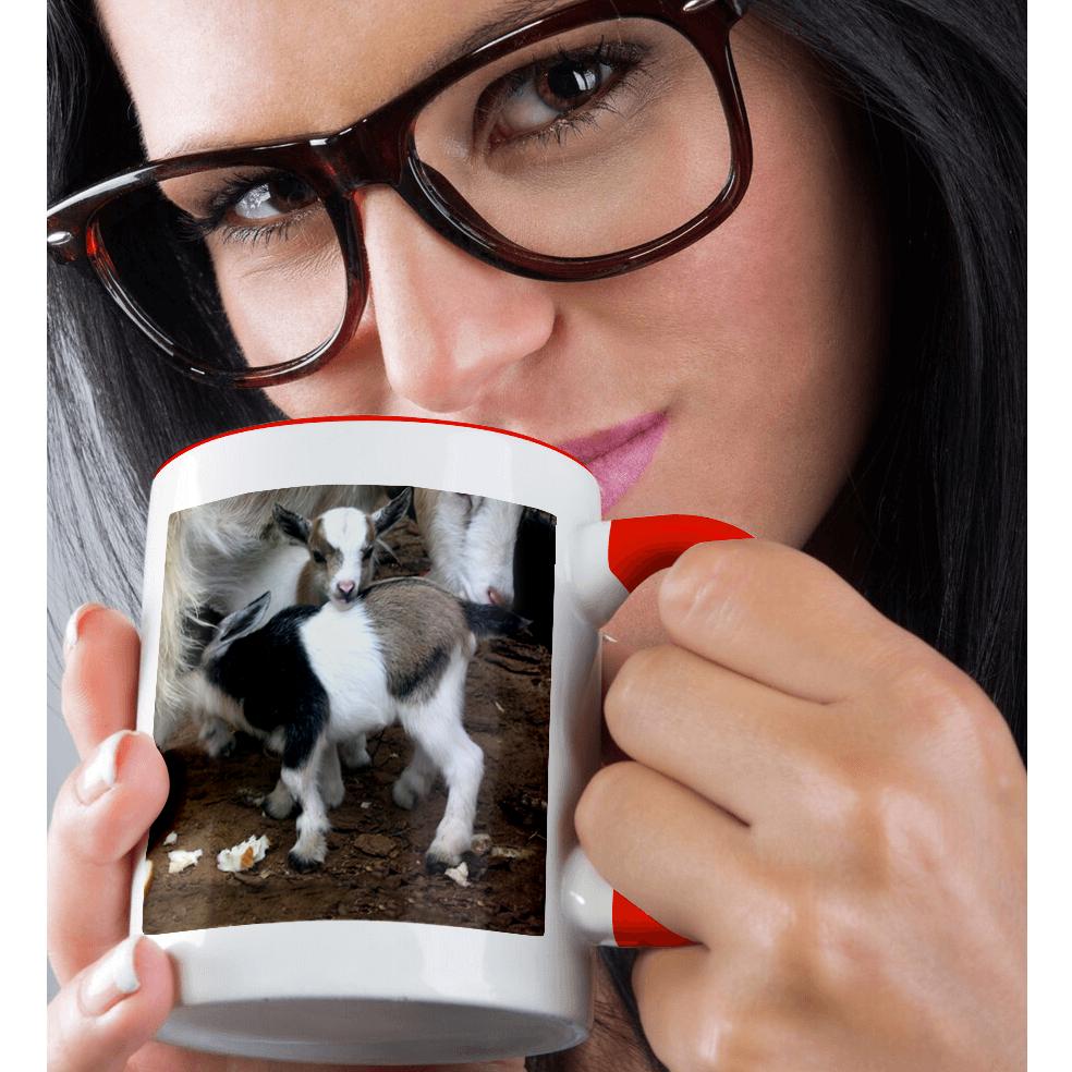 Taza 3dRose, familia de cabras pigmeas, - Imagen 30 de 99
