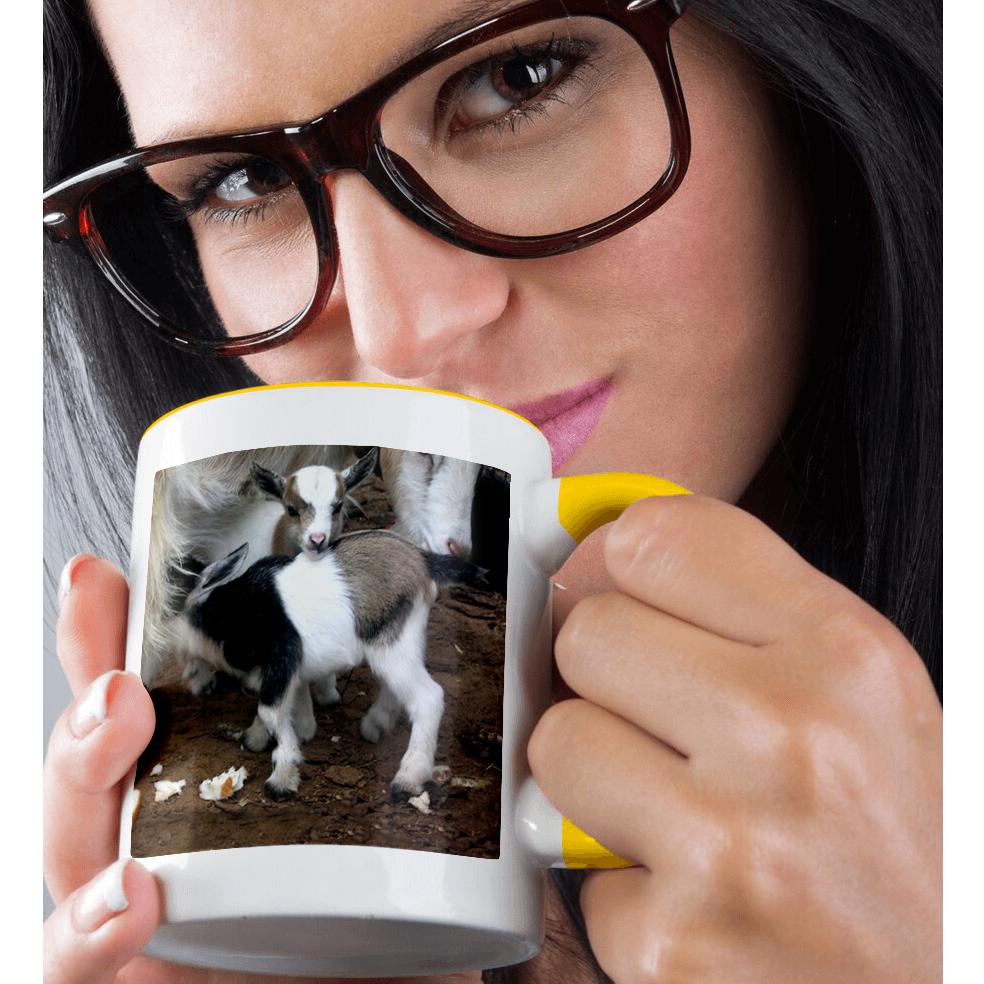 Taza 3dRose, familia de cabras pigmeas, - Imagen 9 de 99