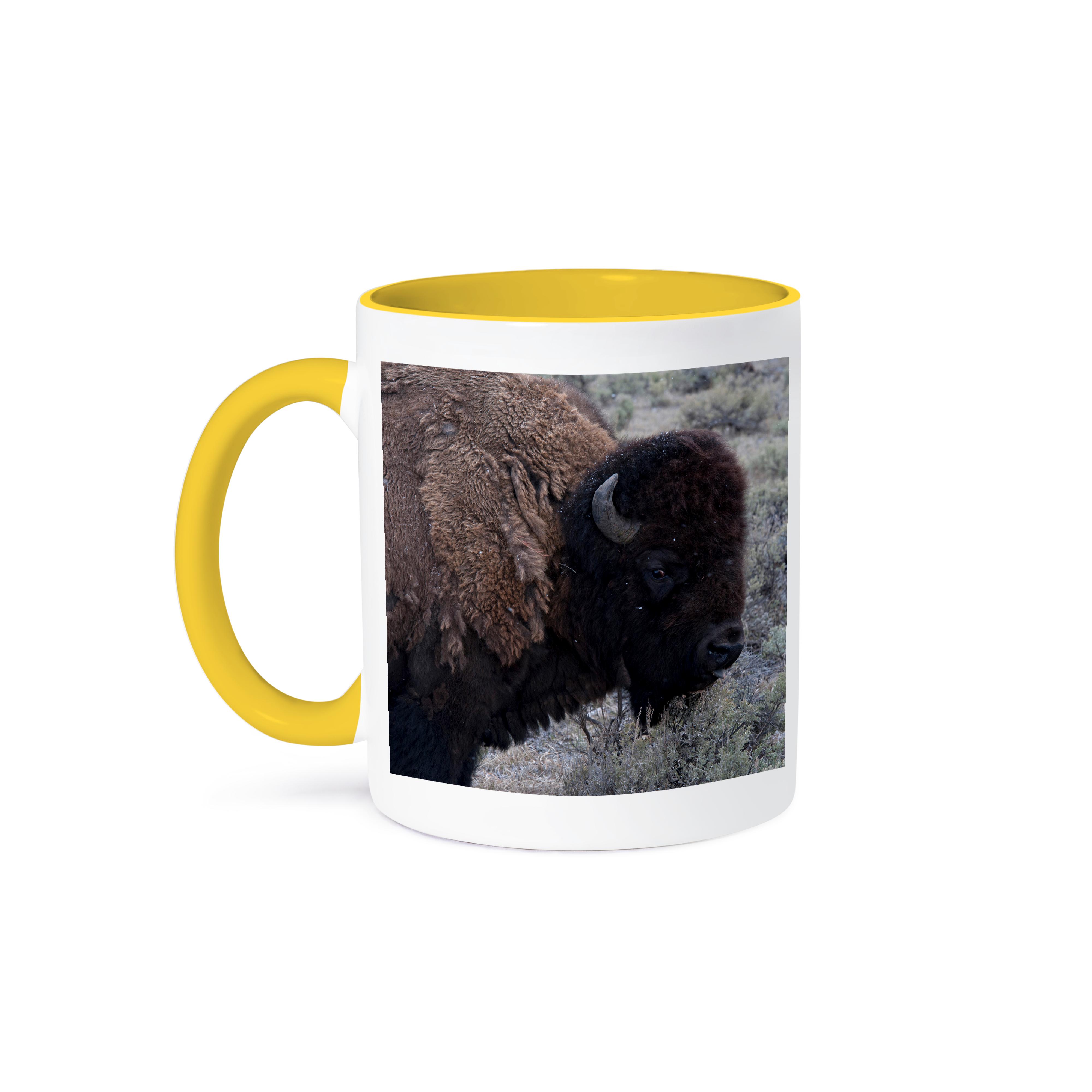 3dRose, USA, Wyoming, Bull Bison, Yellowstone National Park., Mug - Picture 36 of 99