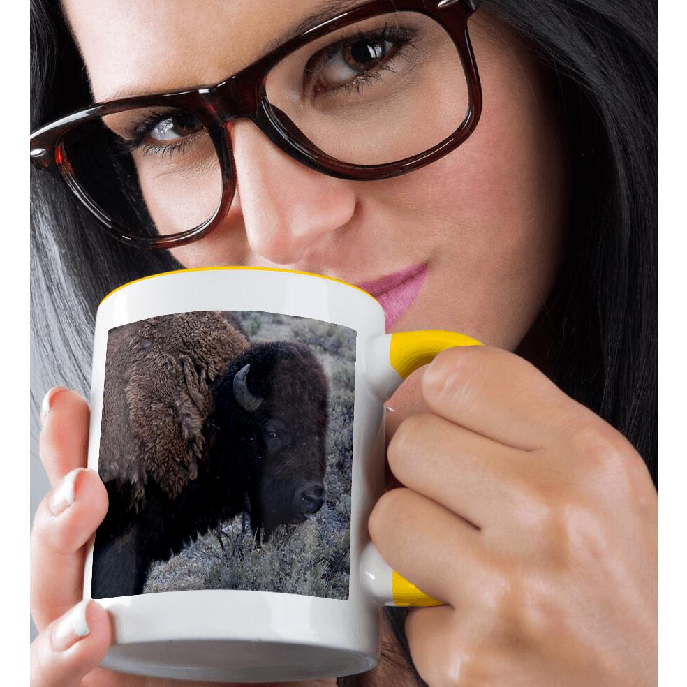 3dRose, USA, Wyoming, Bull Bison, Yellowstone National Park., Mug - Picture 37 of 99