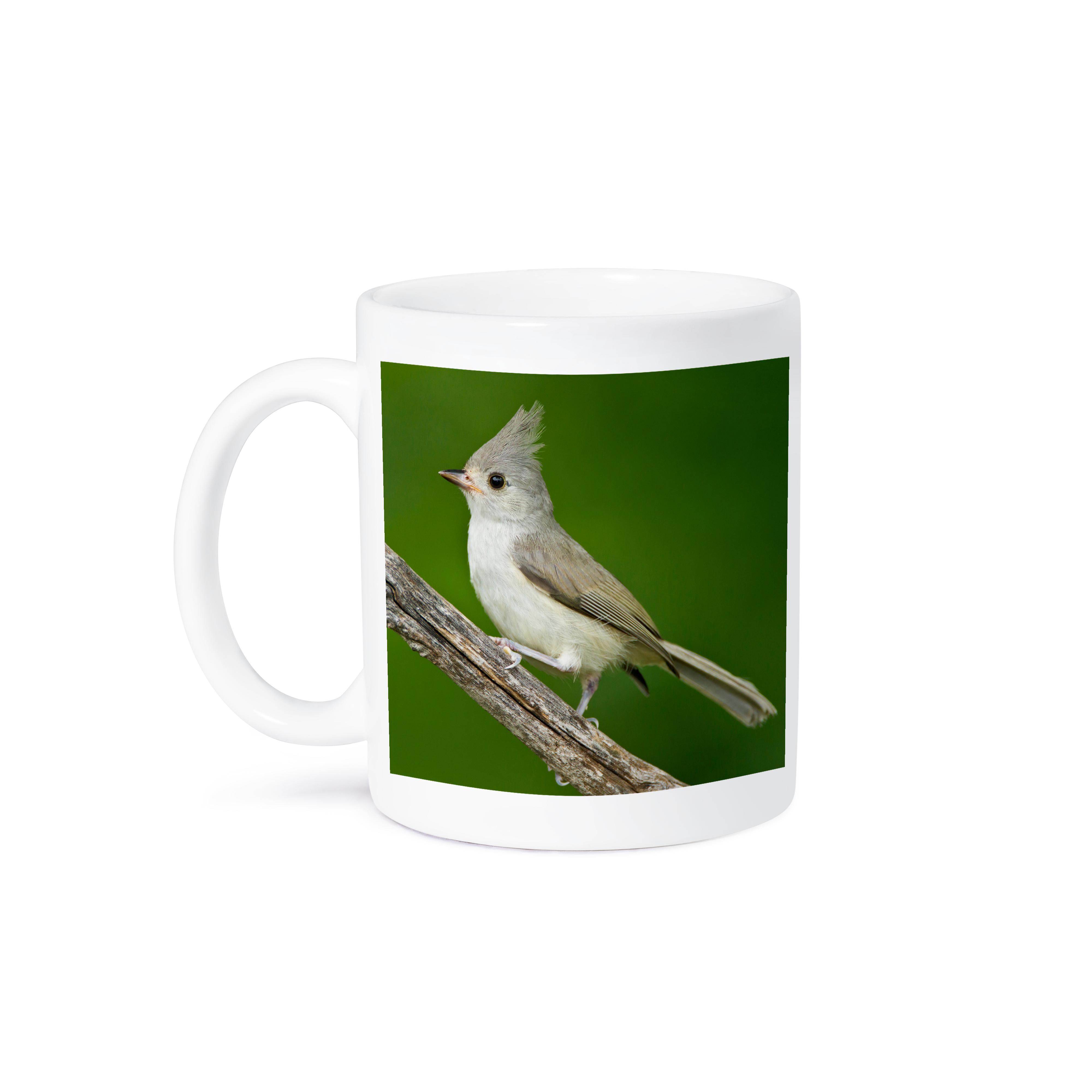 3dRose, Tufted Titmouse, Baeolophus bicolor, thronend, Texas, USA, Becher - Bild 29 von 99