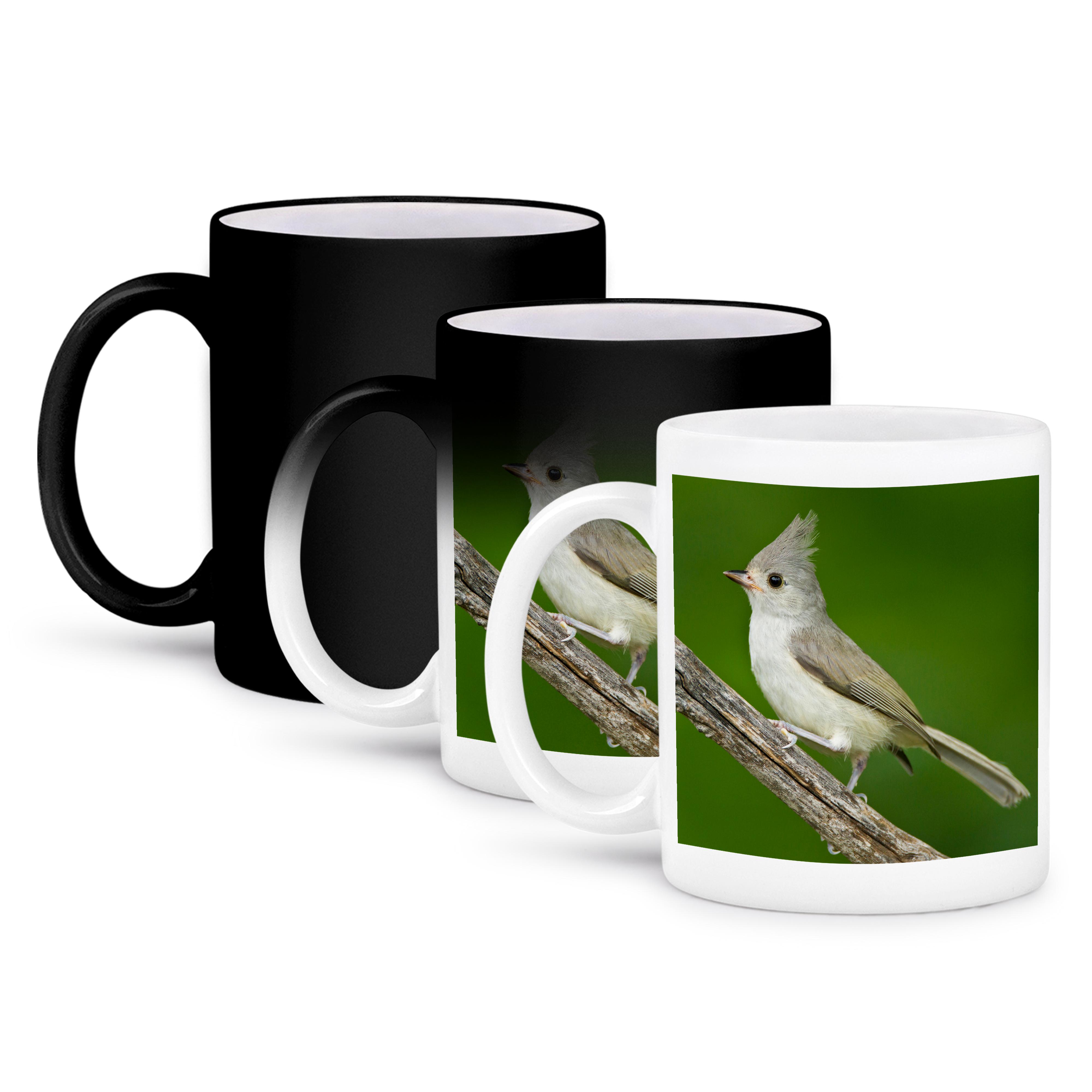 3dRose, Tufted Titmouse, Baeolophus bicolor, thronend, Texas, USA, Becher - Bild 57 von 99