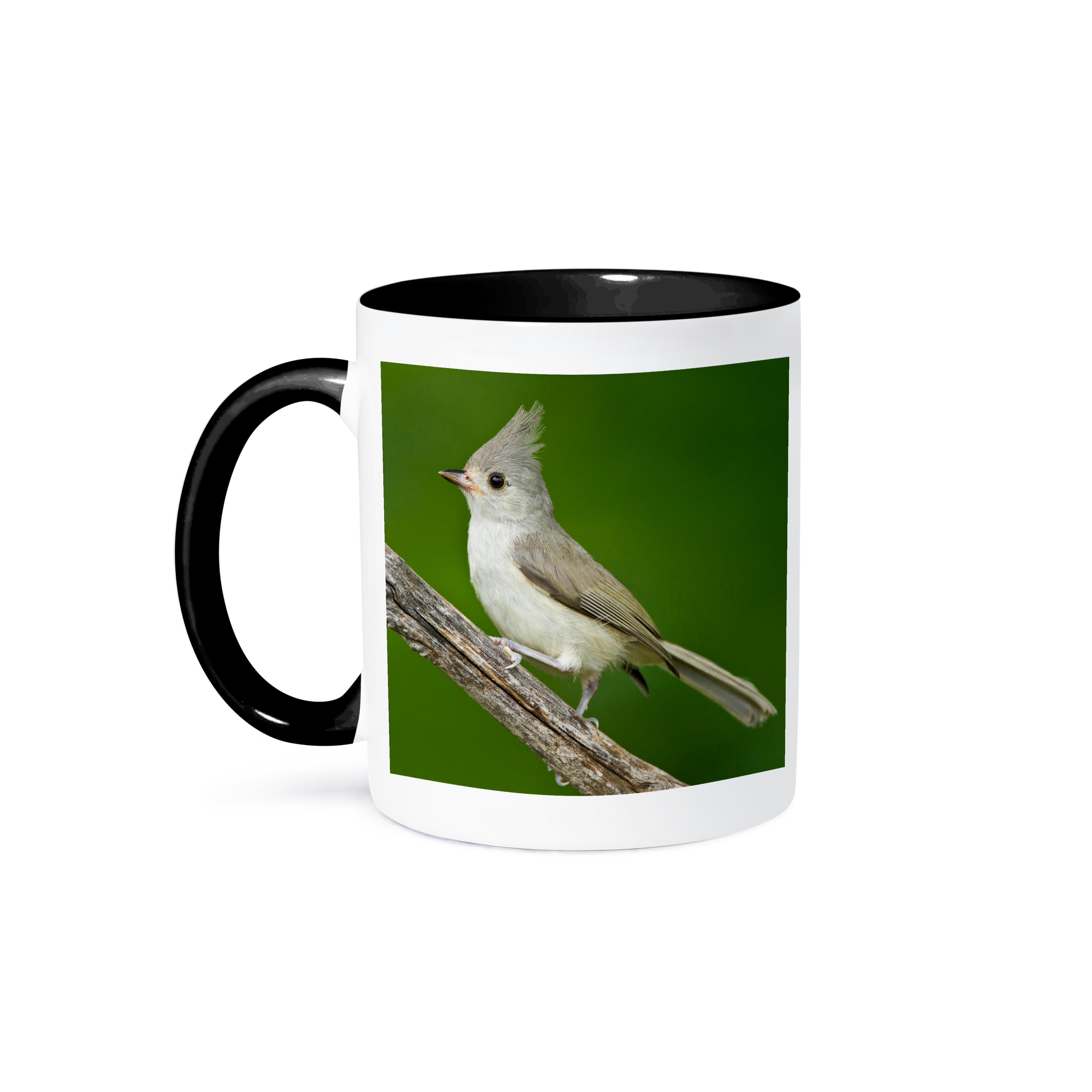 3dRose, Tufted Titmouse, Baeolophus bicolor, thronend, Texas, USA, Becher - Bild 15 von 99