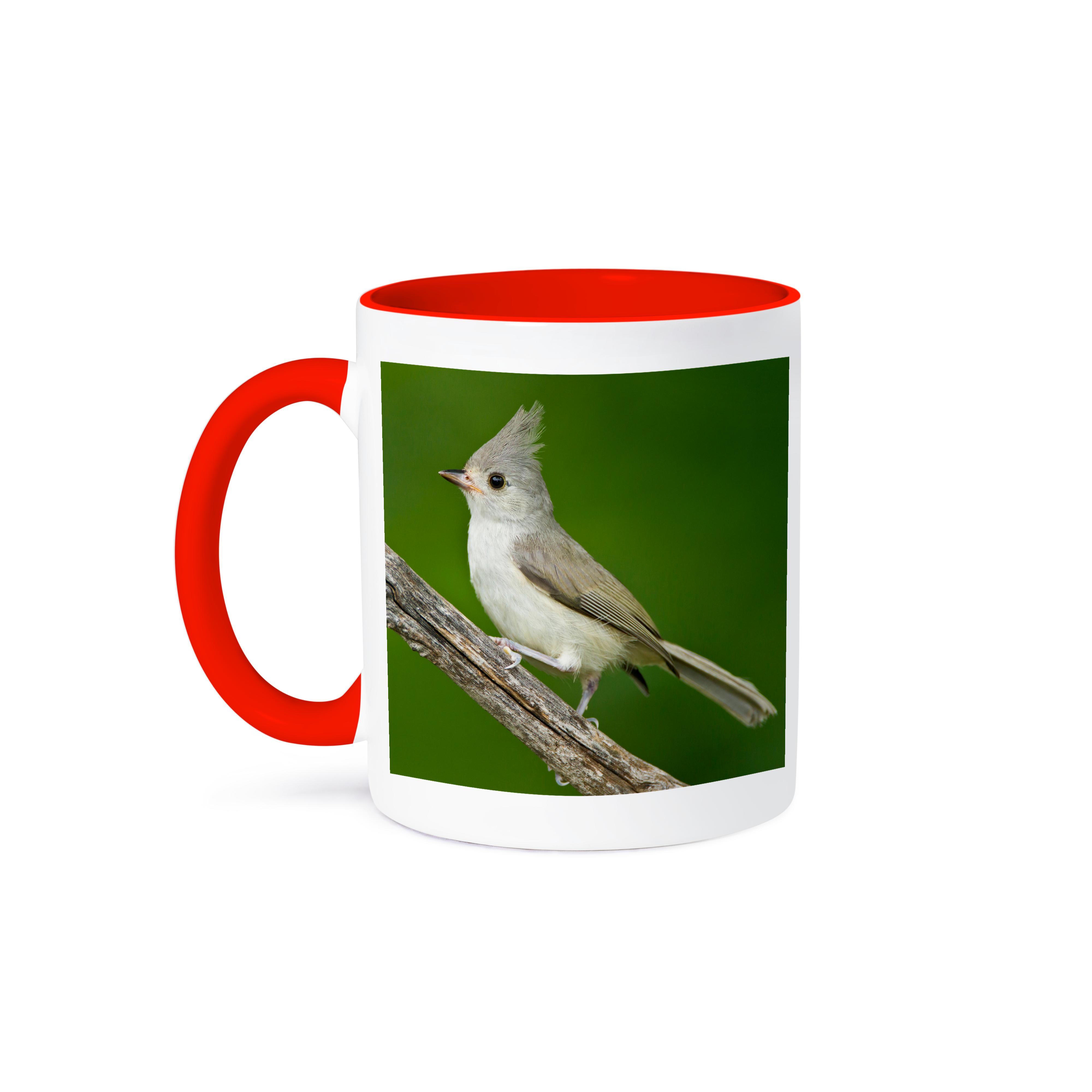 3dRose, Tufted Titmouse, Baeolophus bicolor, thronend, Texas, USA, Becher - Bild 8 von 99