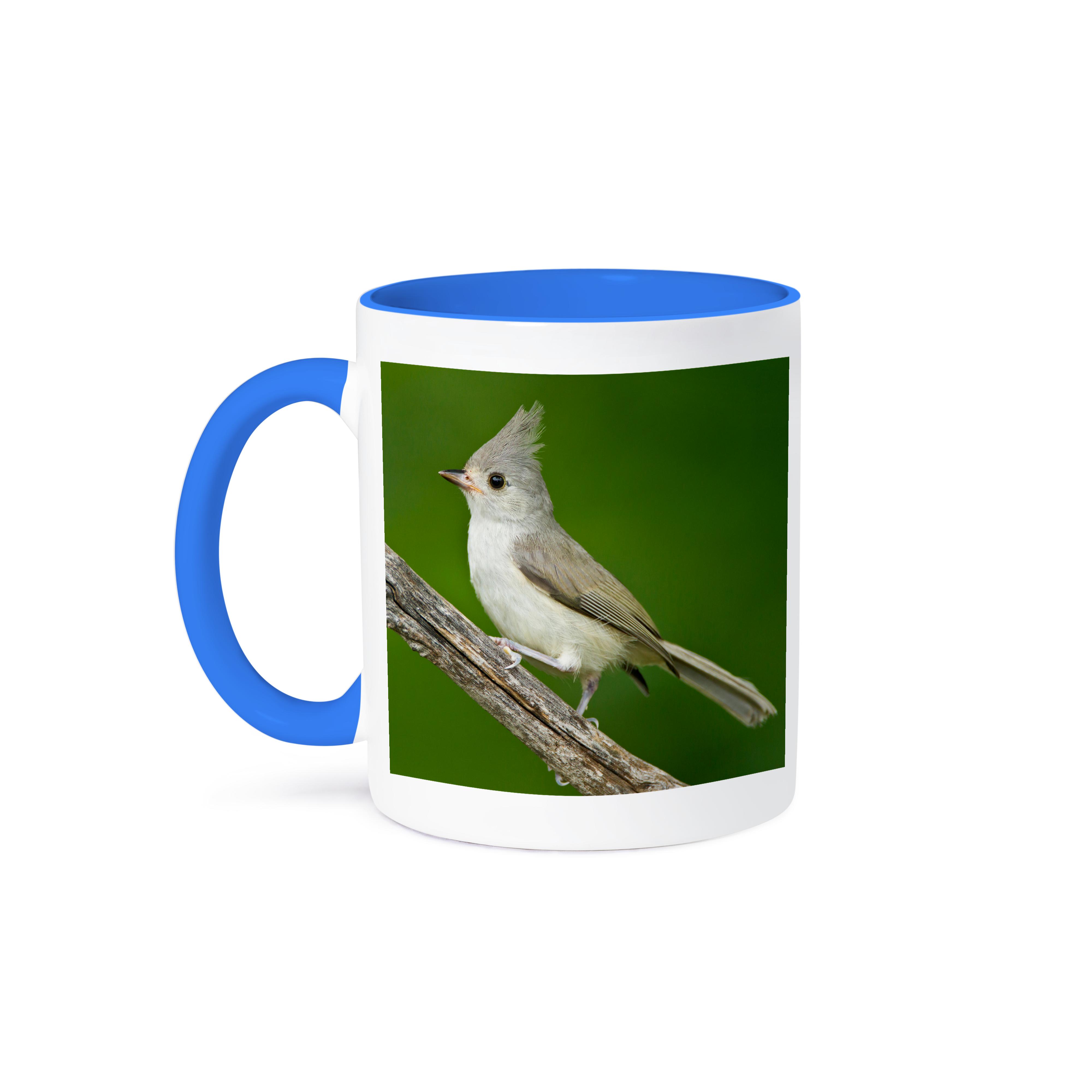 3dRose, Tufted Titmouse, Baeolophus bicolor, thronend, Texas, USA, Becher - Bild 50 von 99