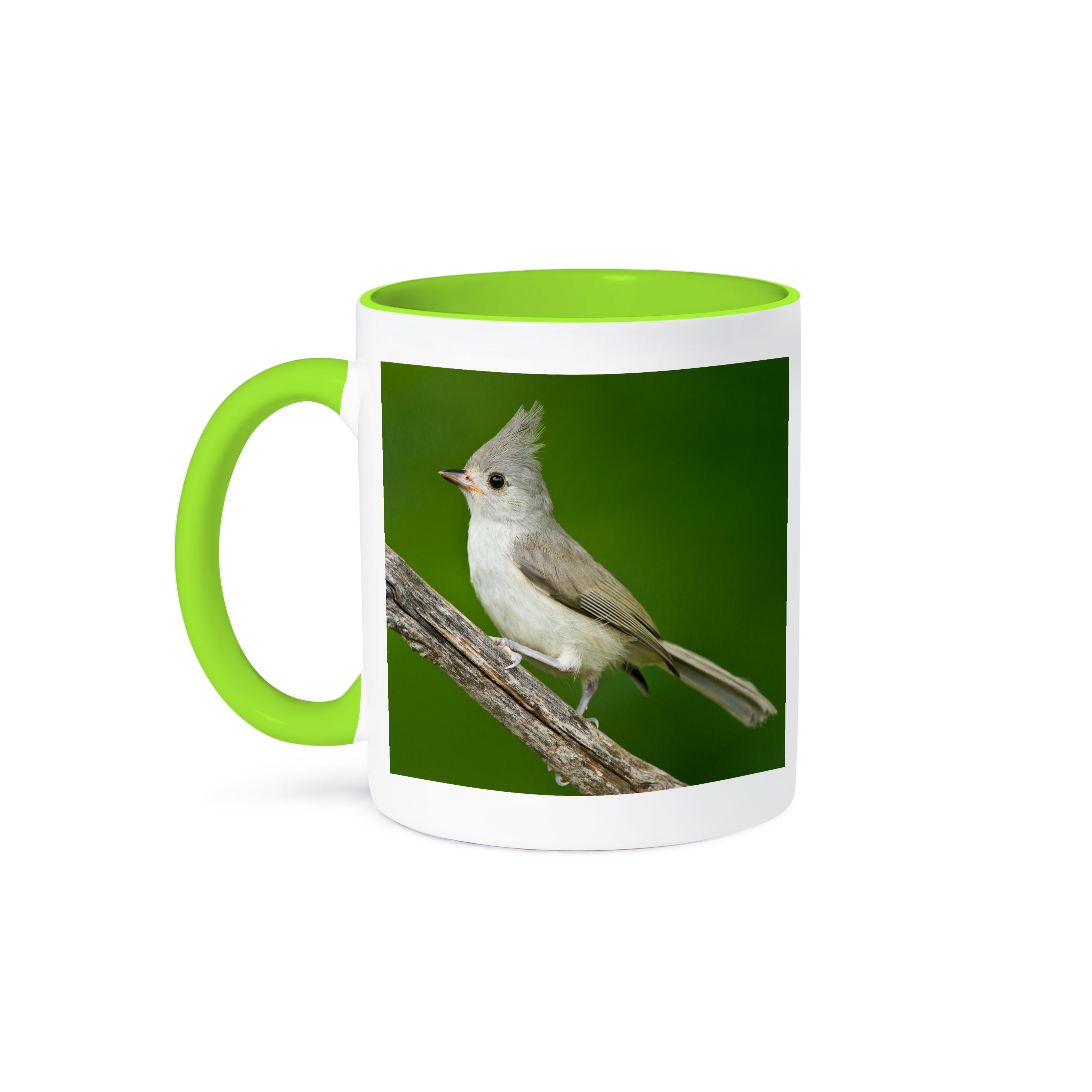 3dRose, Tufted Titmouse, Baeolophus bicolor, thronend, Texas, USA, Becher - Bild 79 von 99