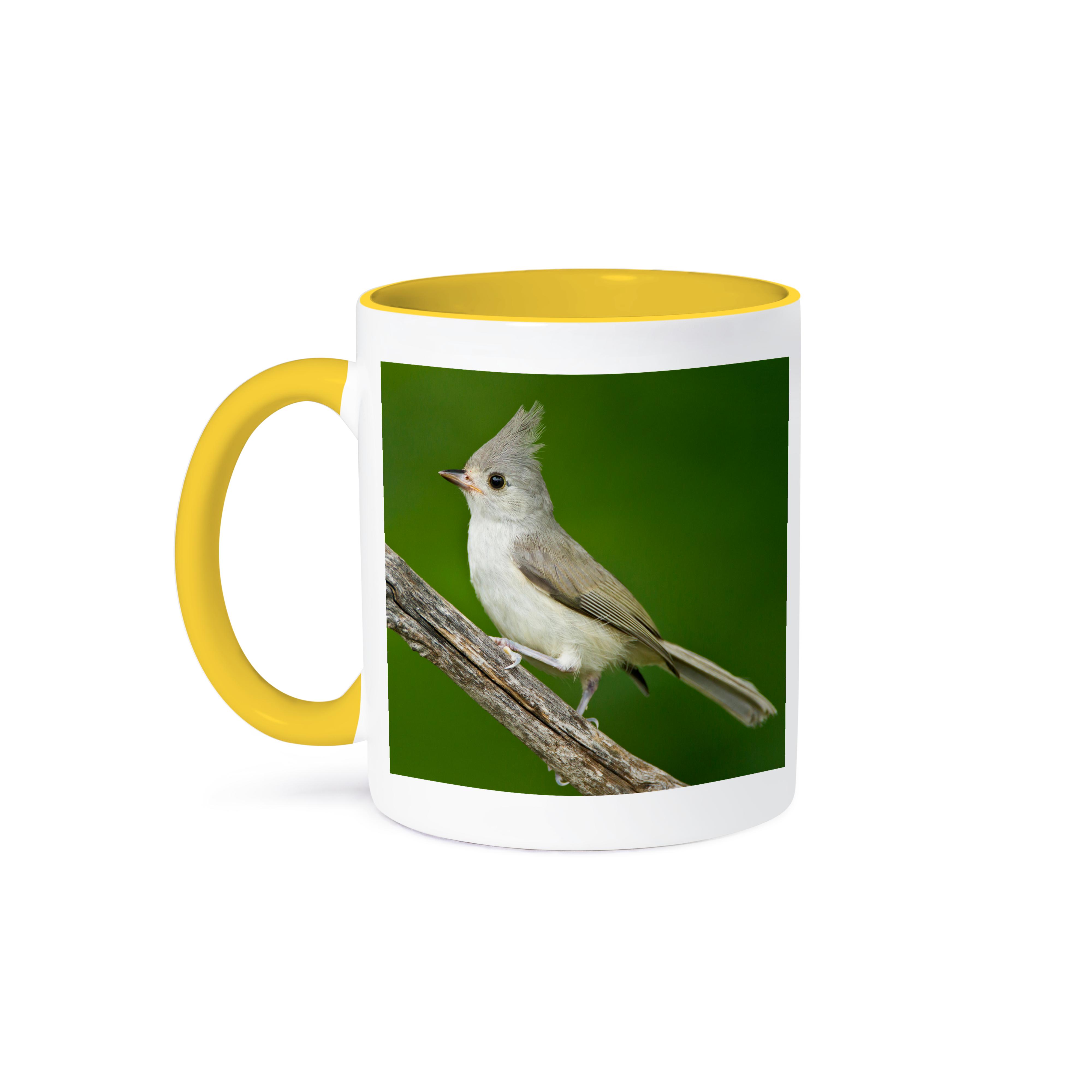 3dRose, Tufted Titmouse, Baeolophus bicolor, thronend, Texas, USA, Becher - Bild 36 von 99