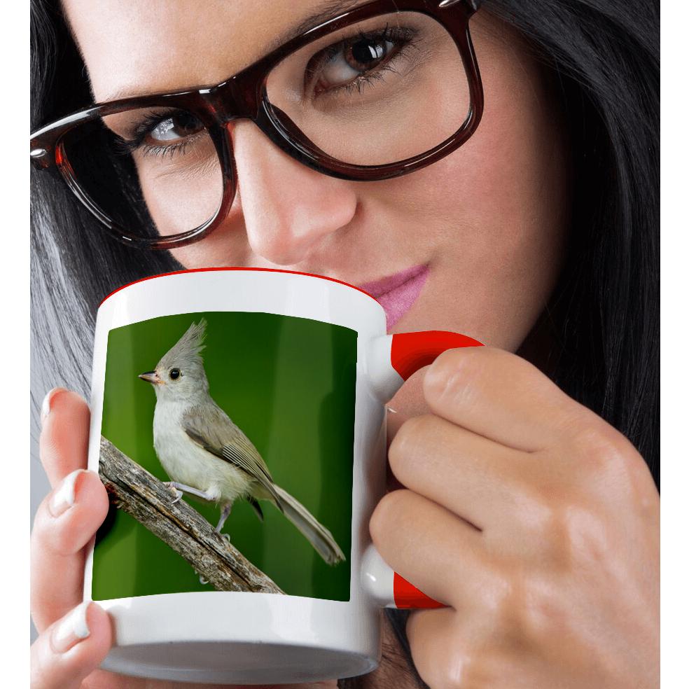 3dRose, Tufted Titmouse, Baeolophus bicolor, thronend, Texas, USA, Becher - Bild 9 von 99