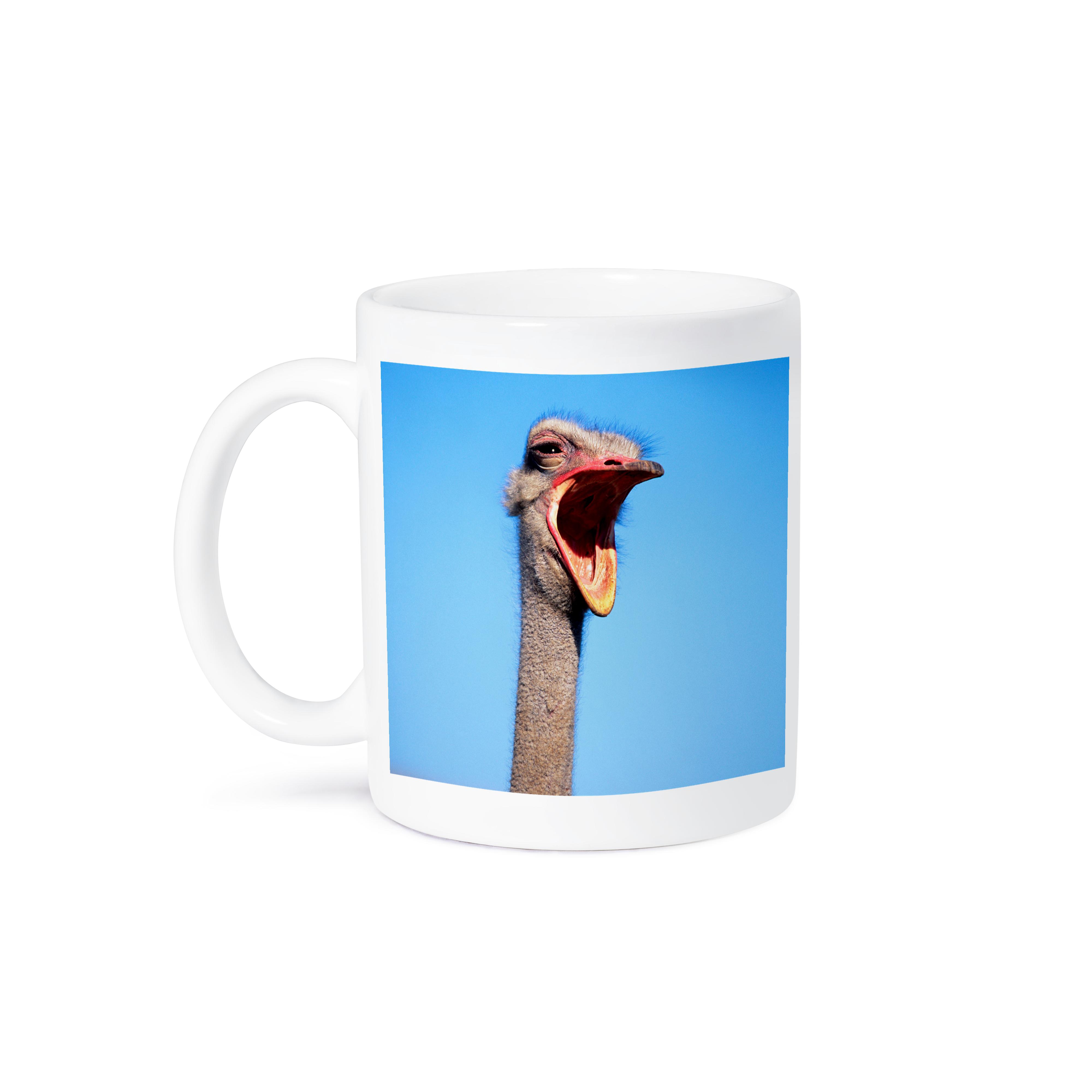 3dRose Danita Delimont - Ostrich - An Ostrich showing aggression. - Mugs (mug_205428)
