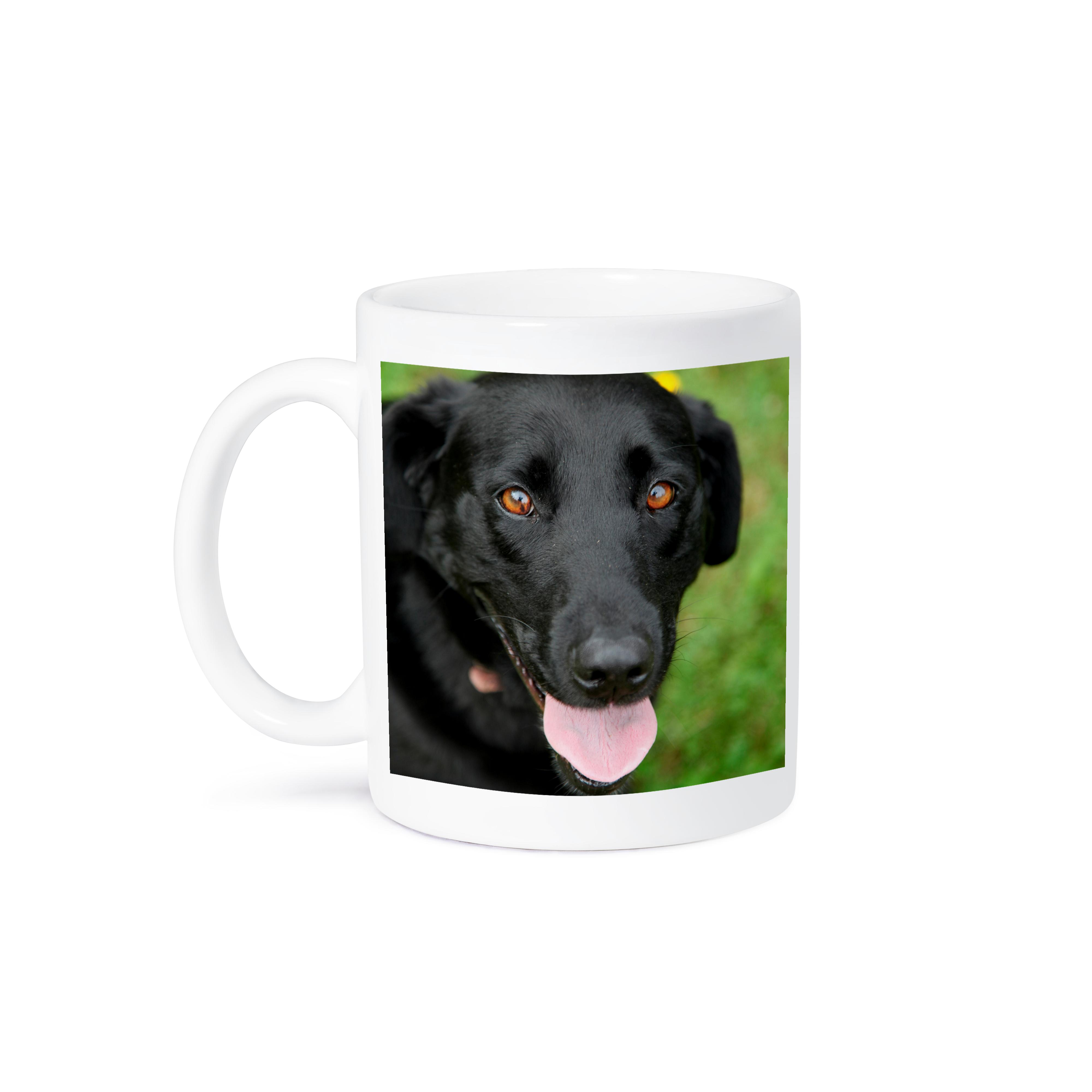 3dRose, Dog - Black Labrador., Mug - Picture 29 of 99