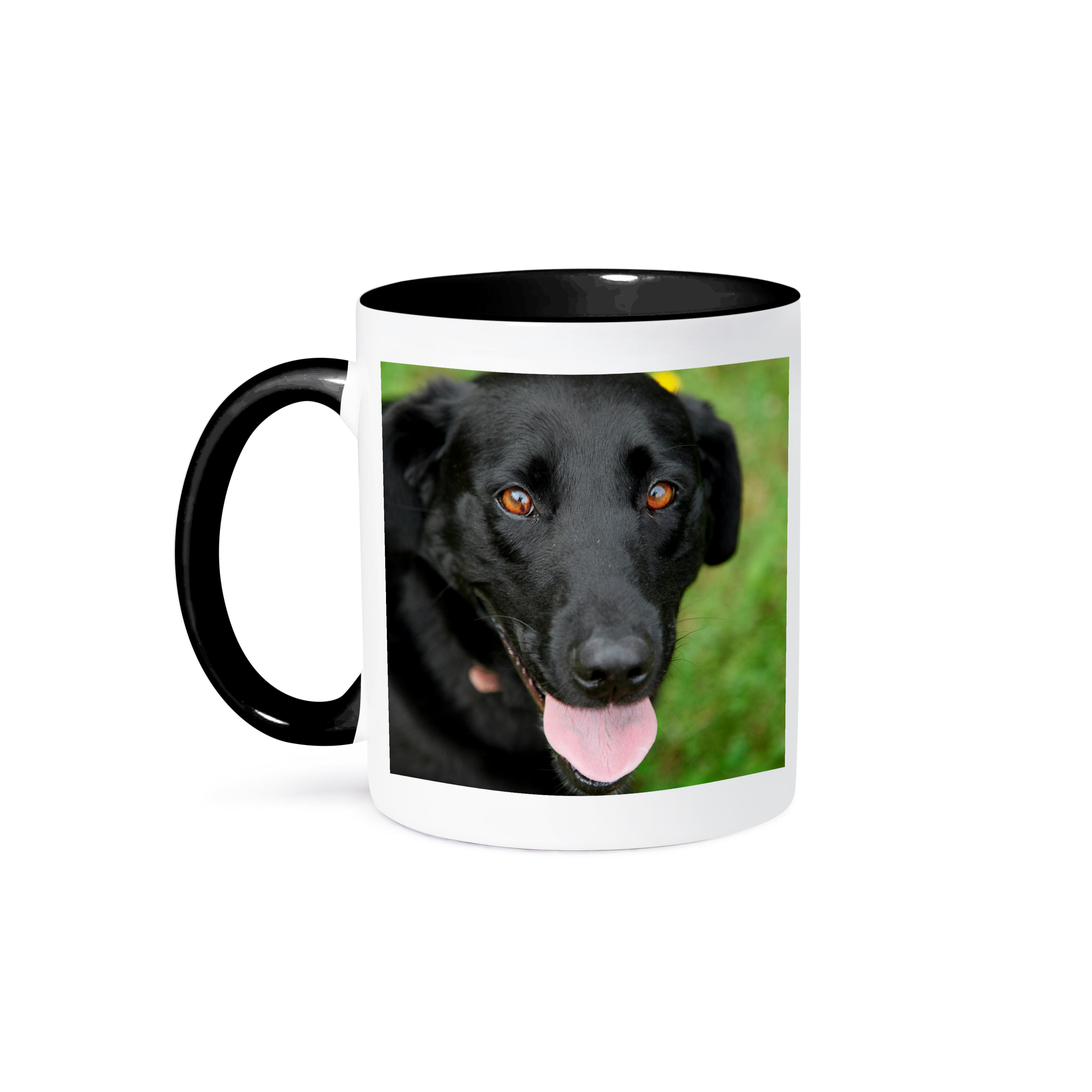 3dRose, Dog - Black Labrador., Mug - Picture 15 of 99