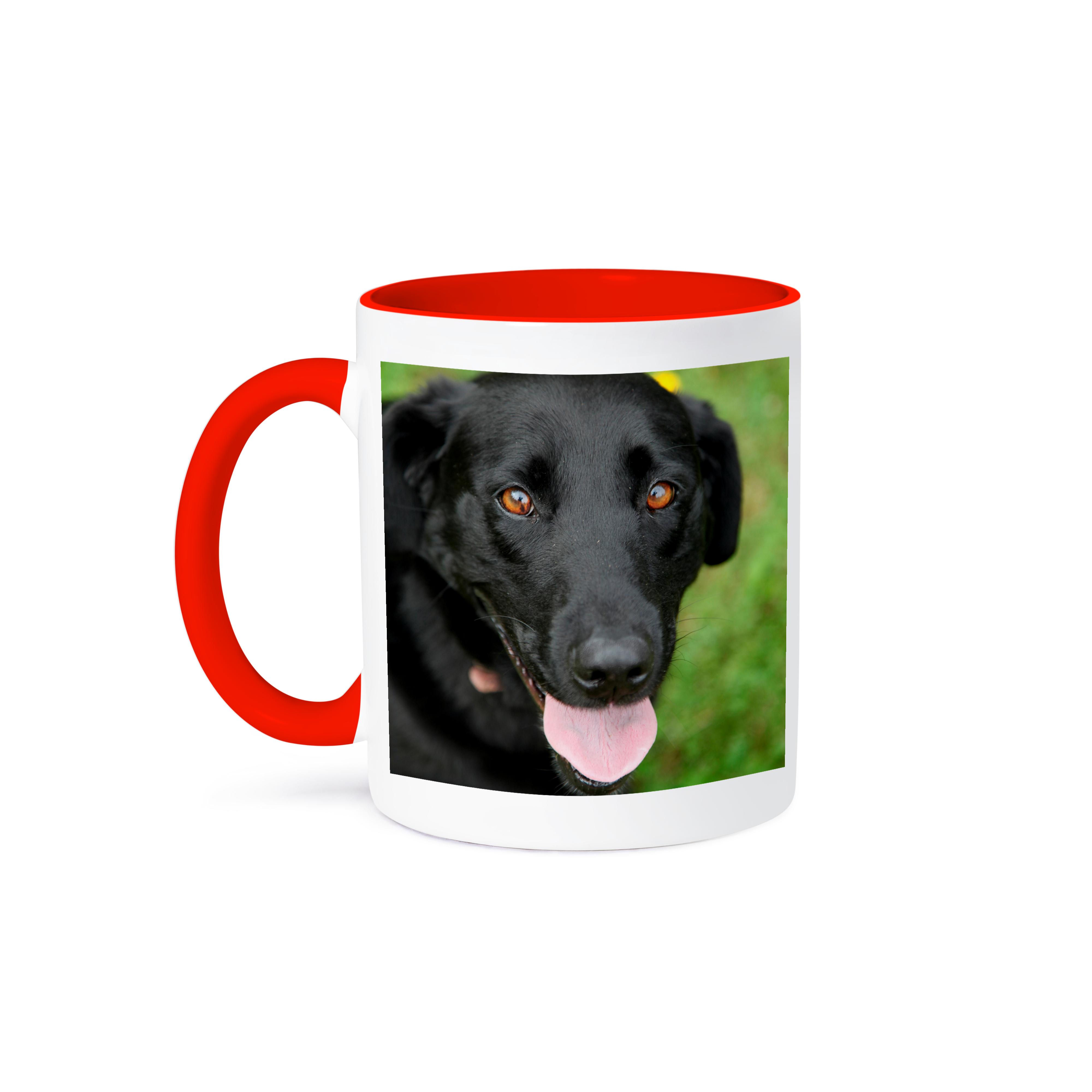 3dRose, Dog - Black Labrador., Mug - Picture 8 of 99