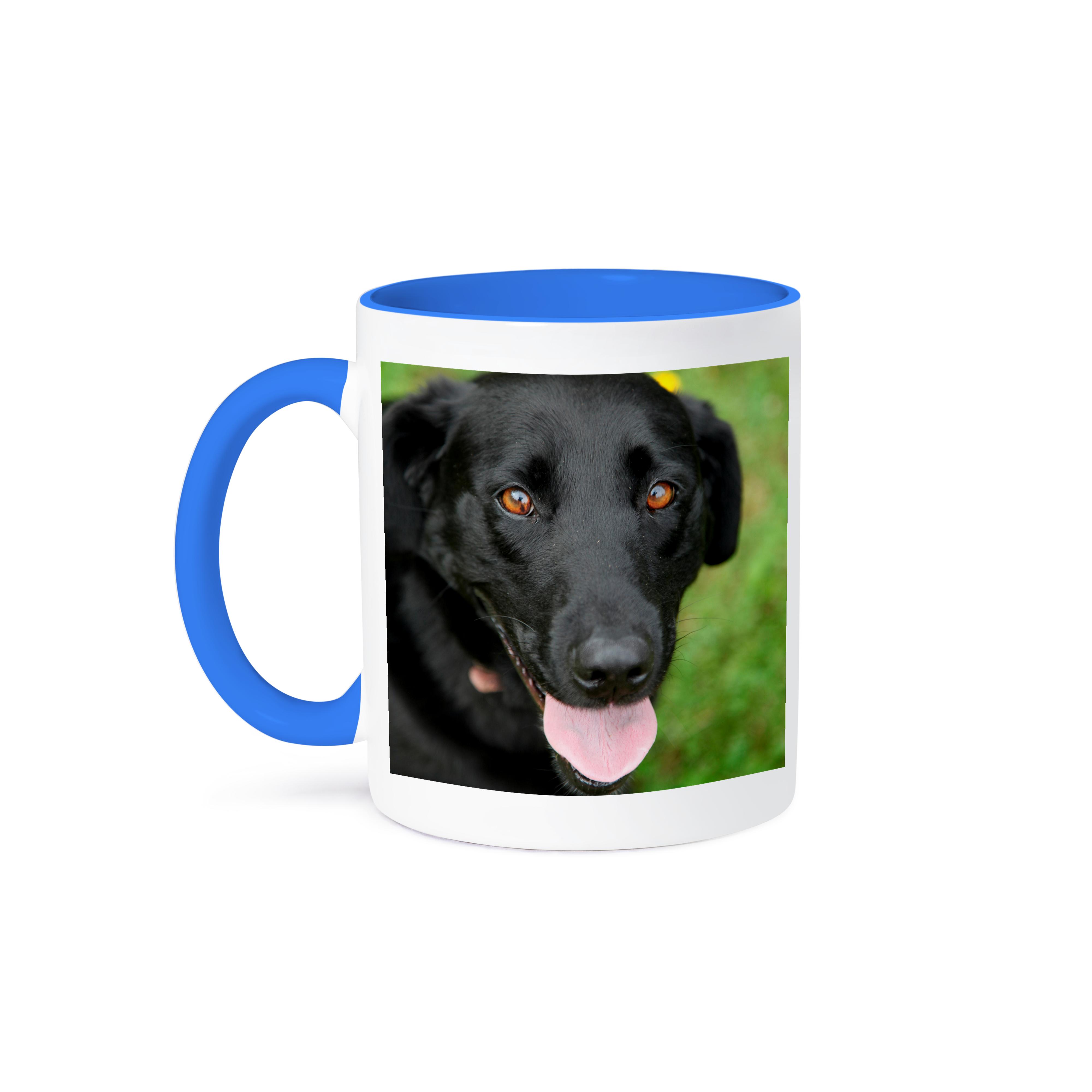 3dRose, Dog - Black Labrador., Mug - Picture 50 of 99