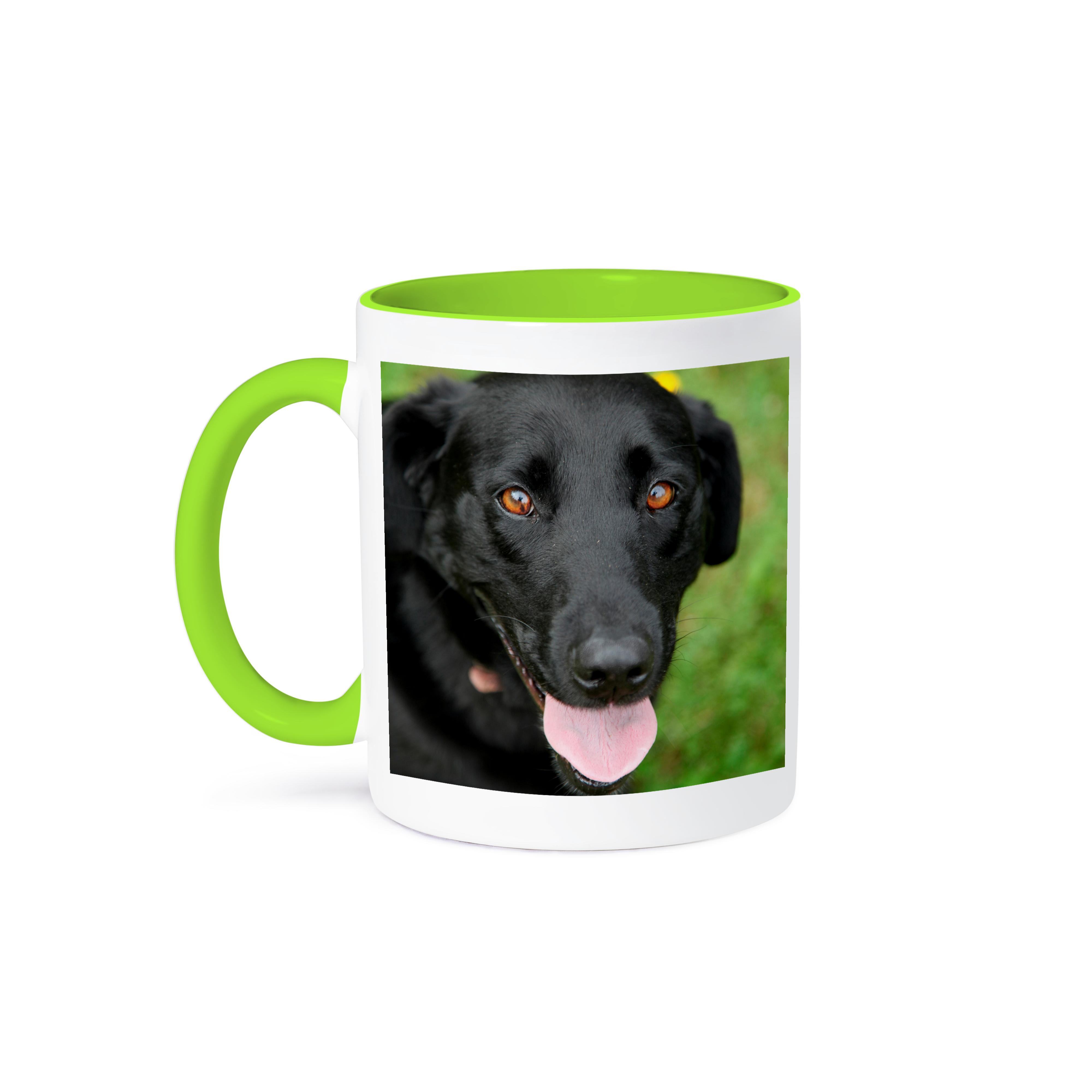 3dRose, Dog - Black Labrador., Mug - Picture 79 of 99