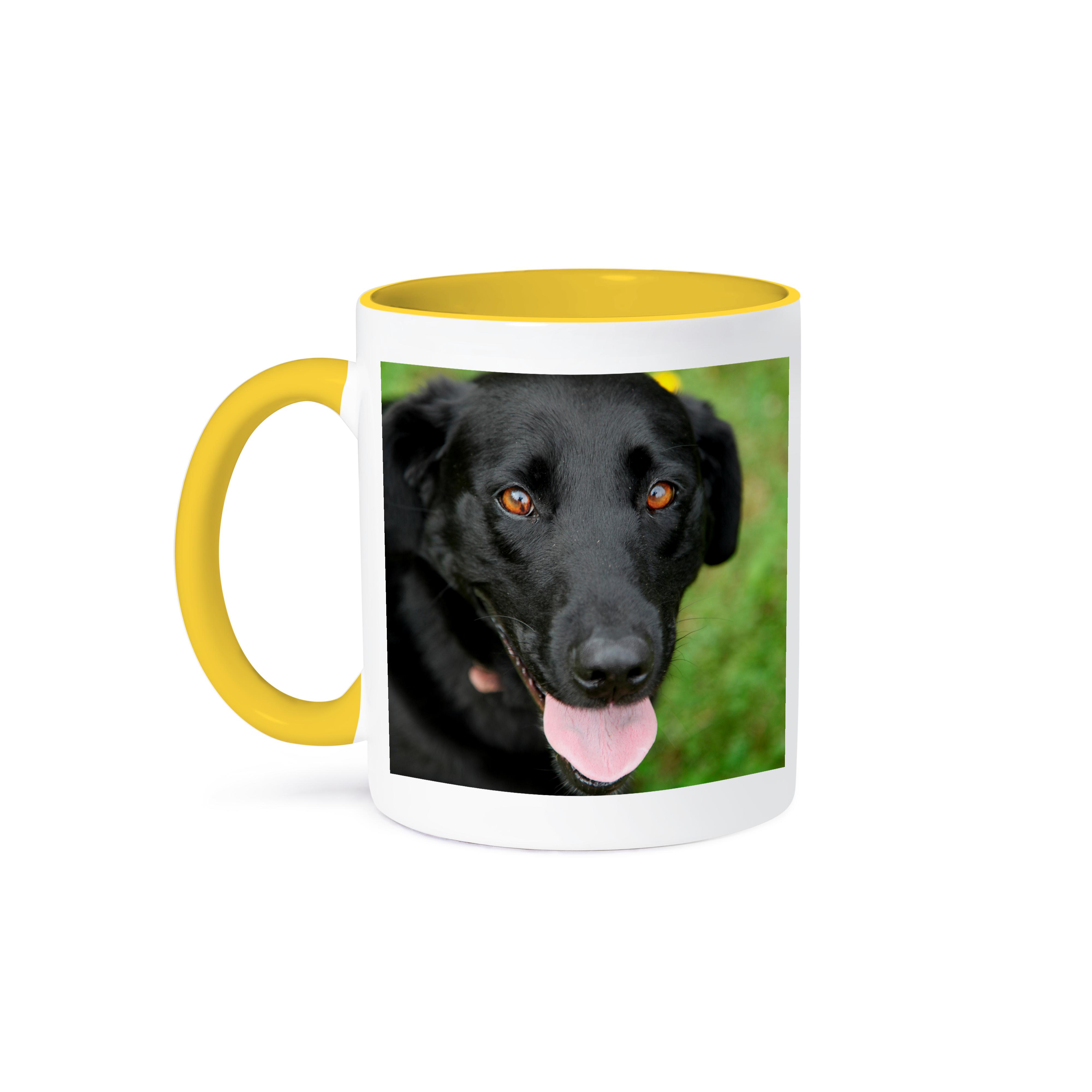 3dRose, Dog - Black Labrador., Mug - Picture 36 of 99