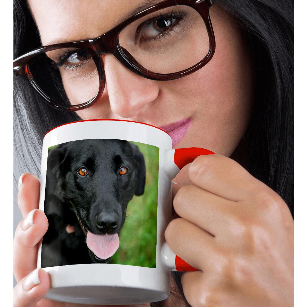 3dRose, Dog - Black Labrador., Mug - Picture 9 of 99