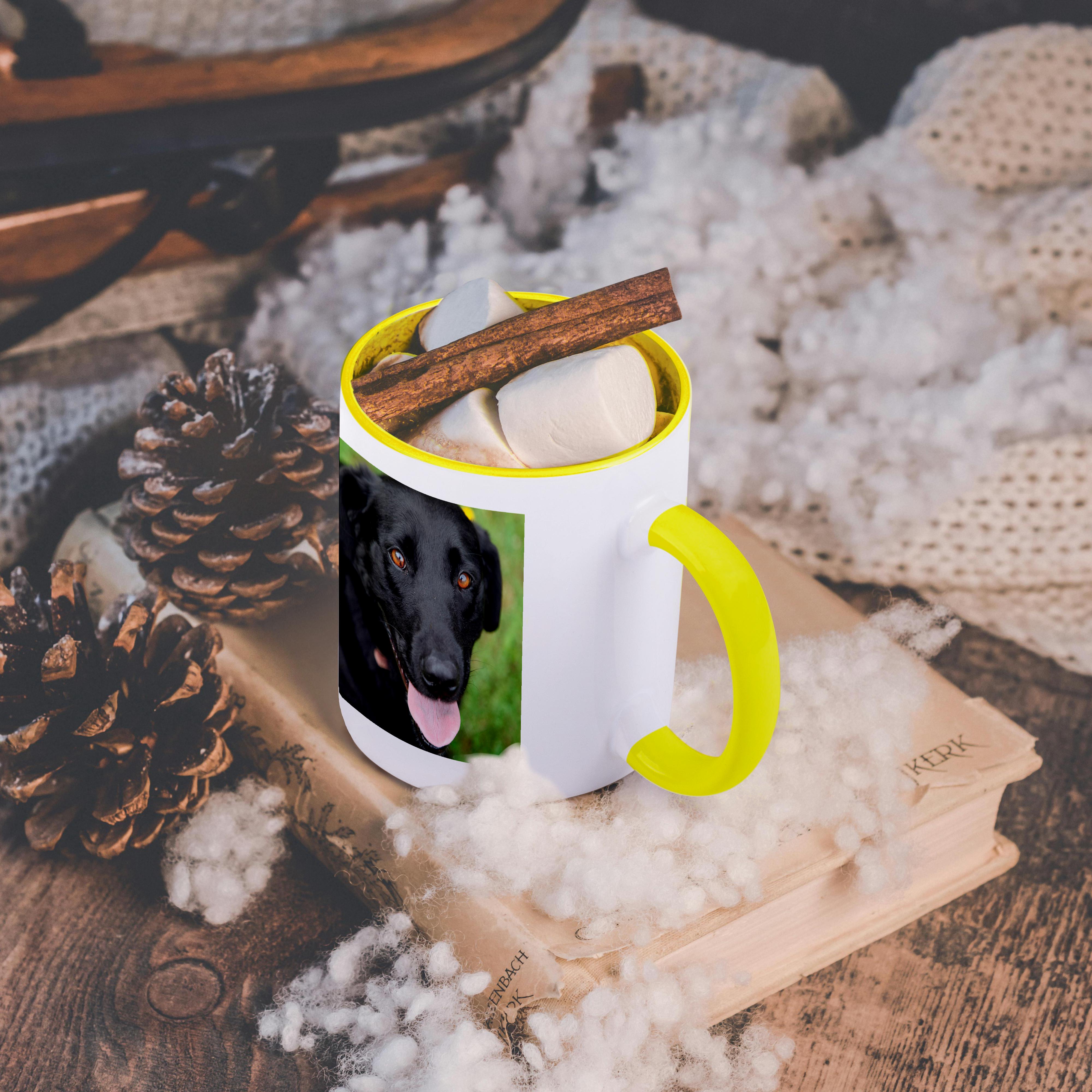 3dRose, Dog - Black Labrador., Mug - Picture 40 of 99
