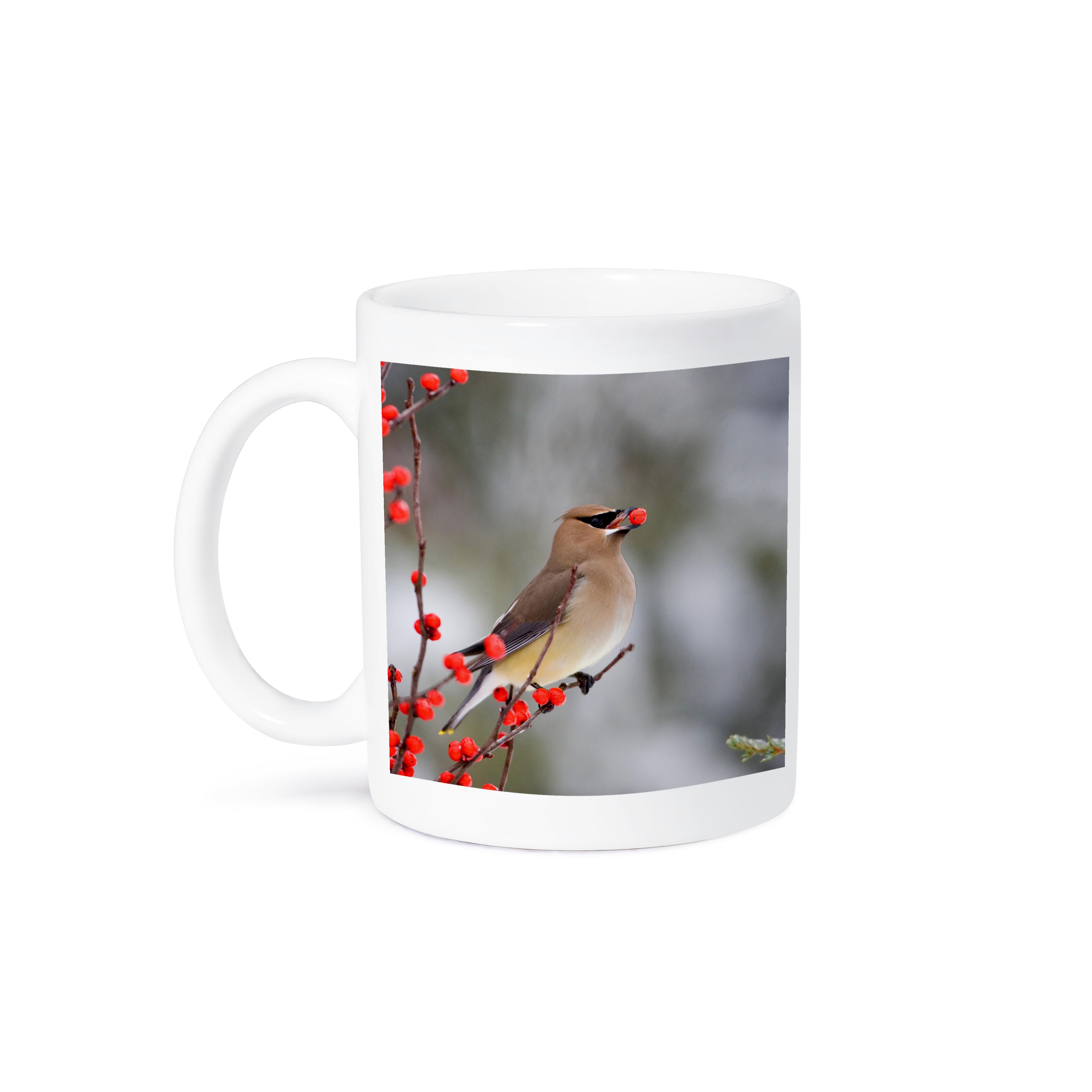 3dRose Cedar Waxwing eating Common Winterberry, Marion, Illinois, USA. - Mugs (mug_207622)
